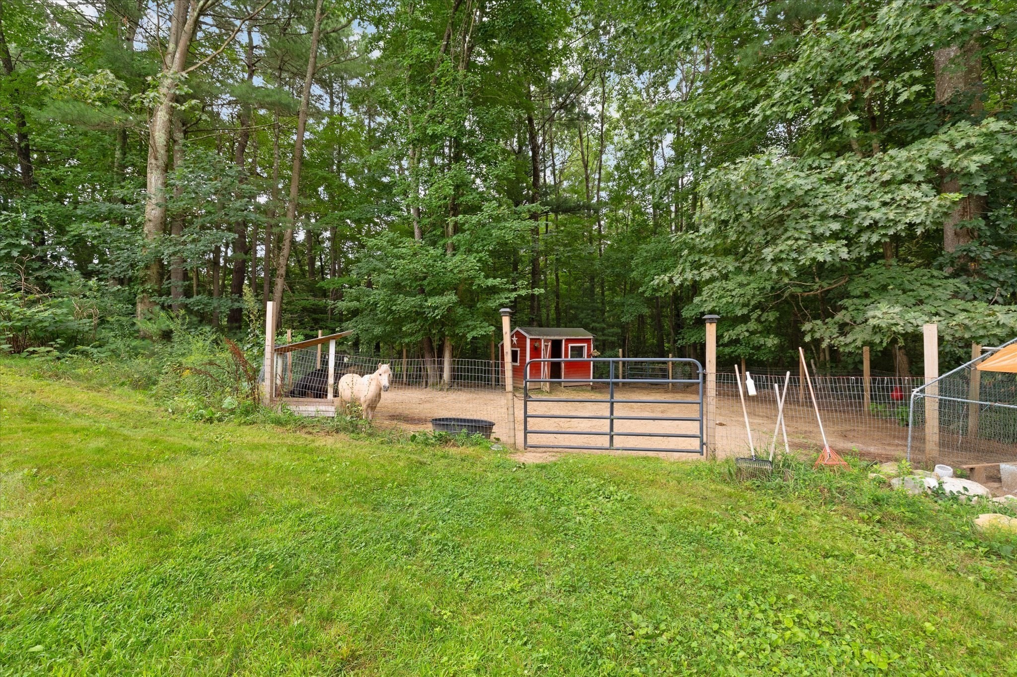 main property photo 34