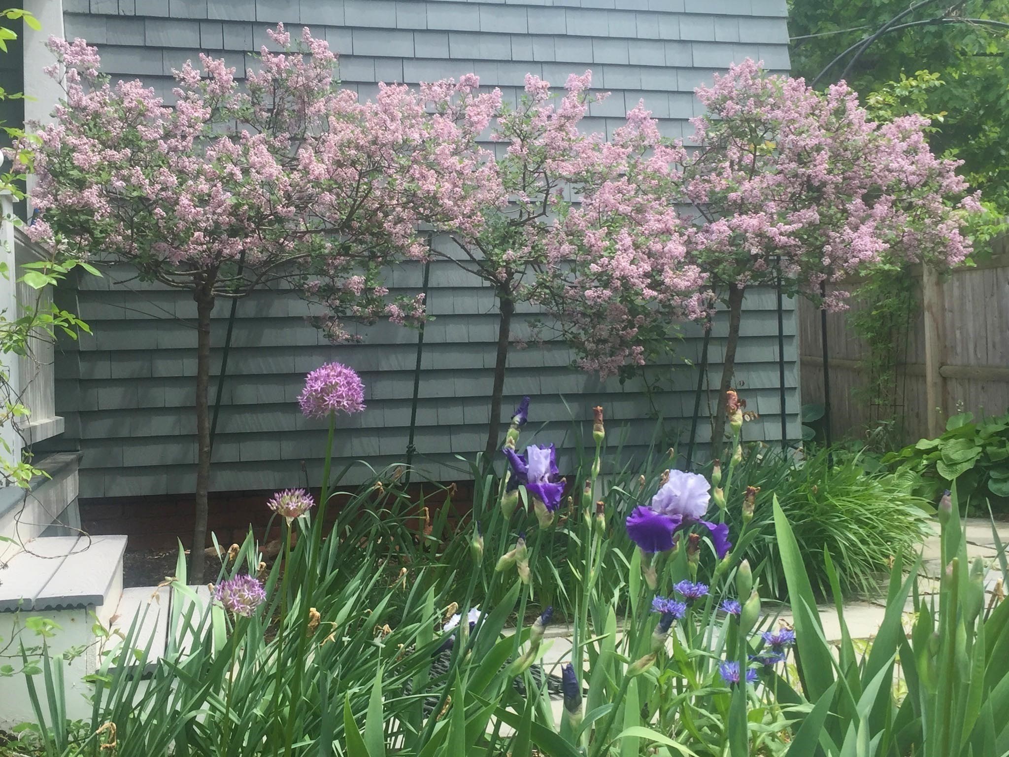 main property photo 39