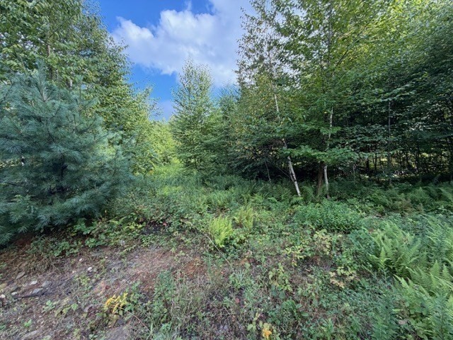 main property photo 13