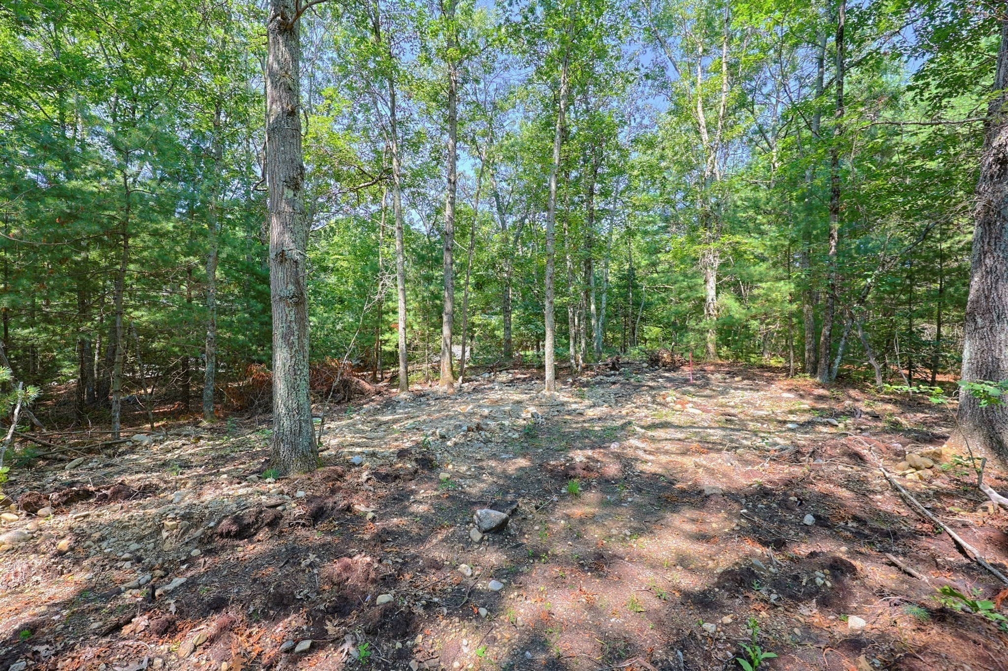 main property photo 8