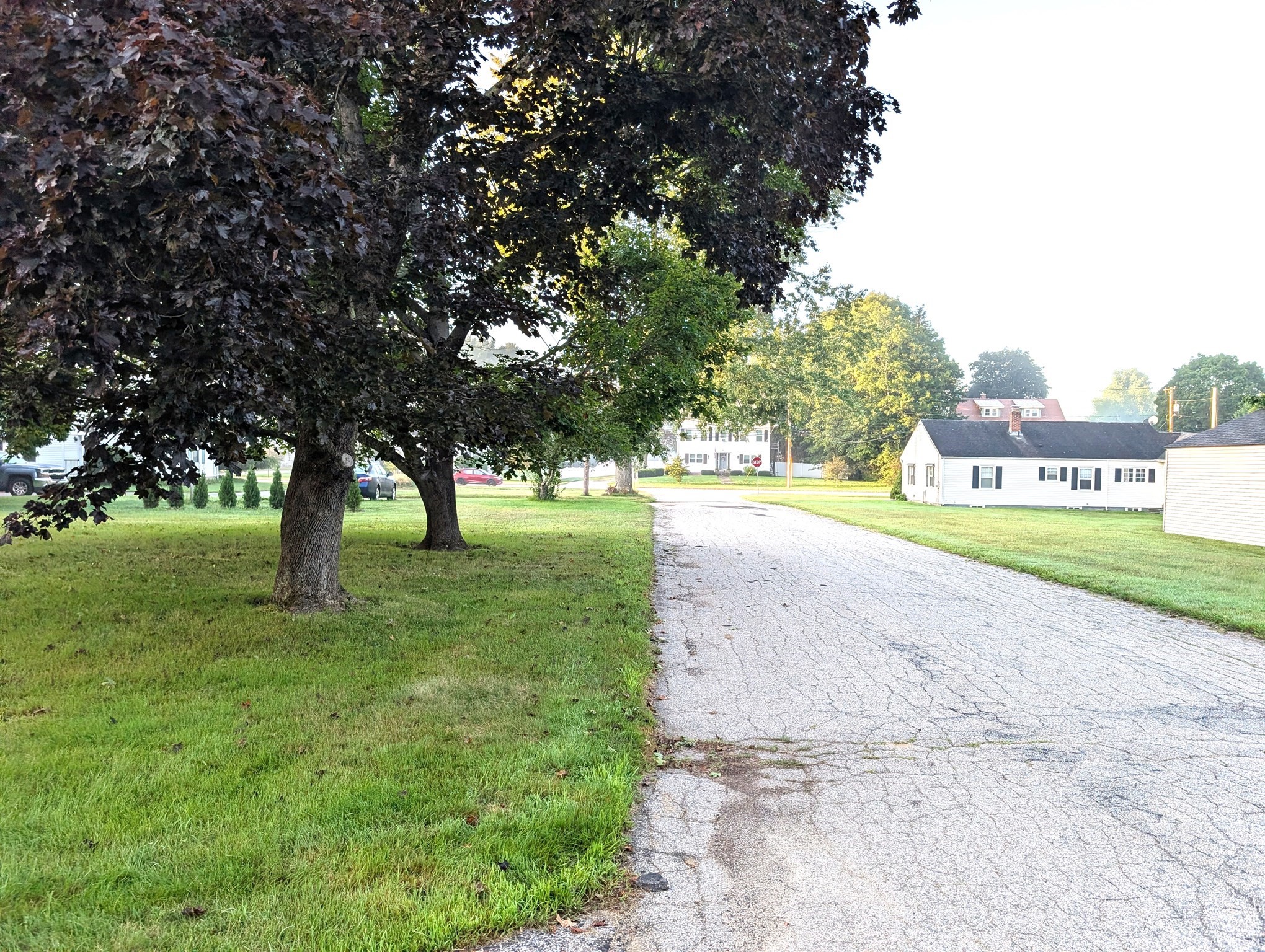 main property photo 24