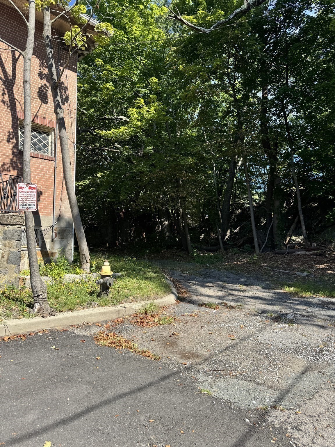 main property photo 14