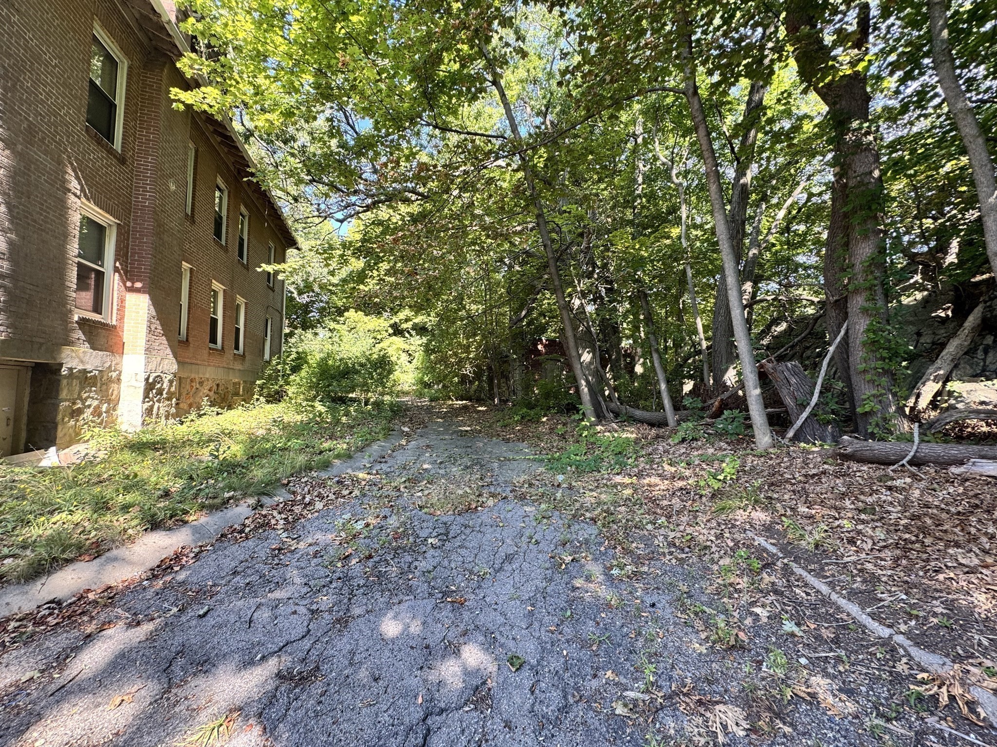 main property photo 8