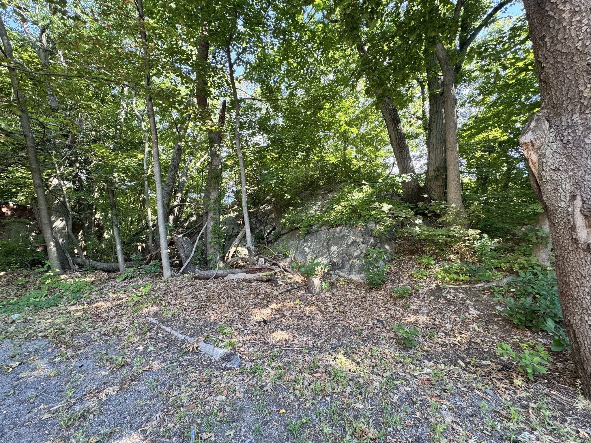 main property photo 9