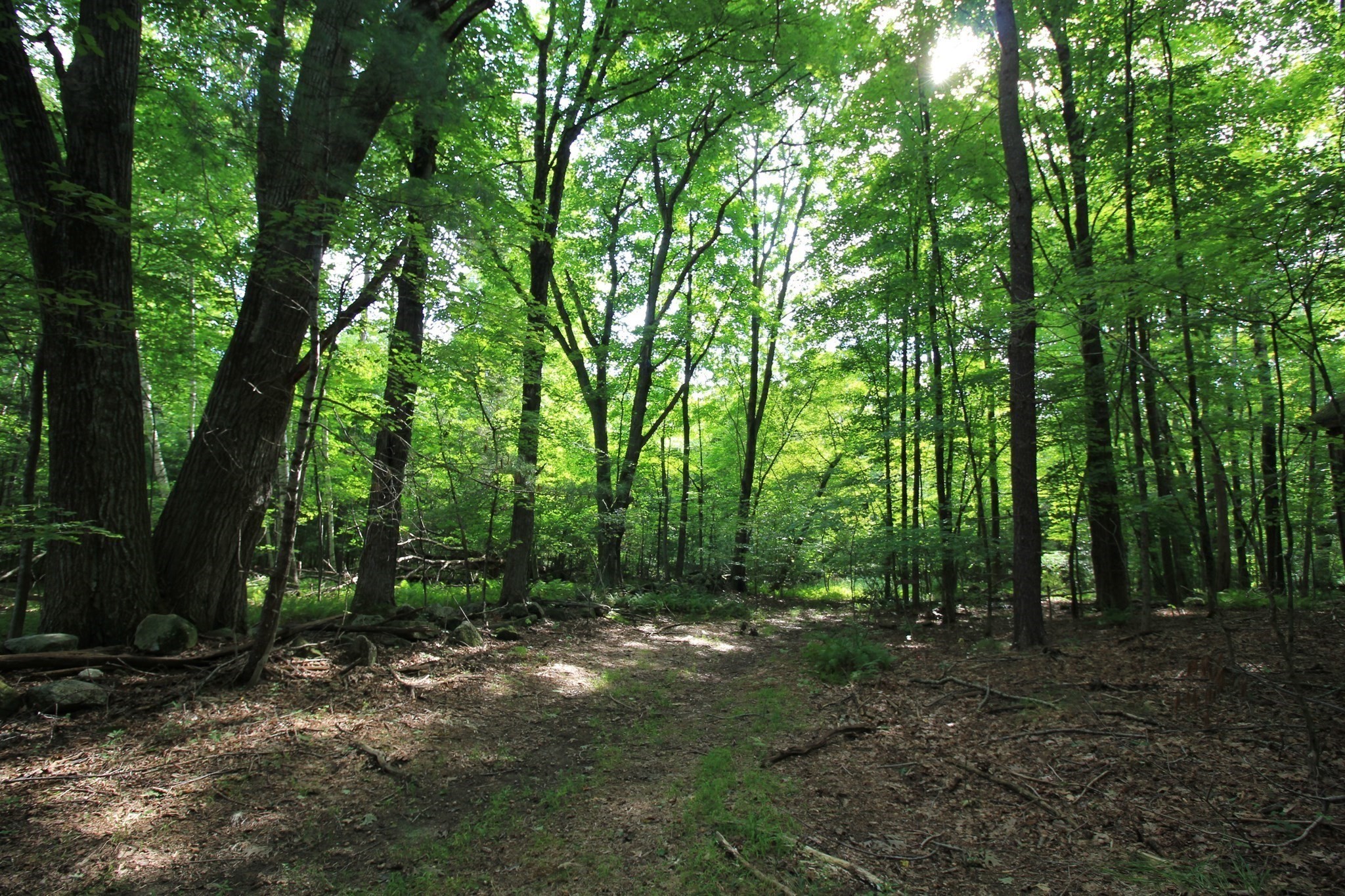 main property photo 37