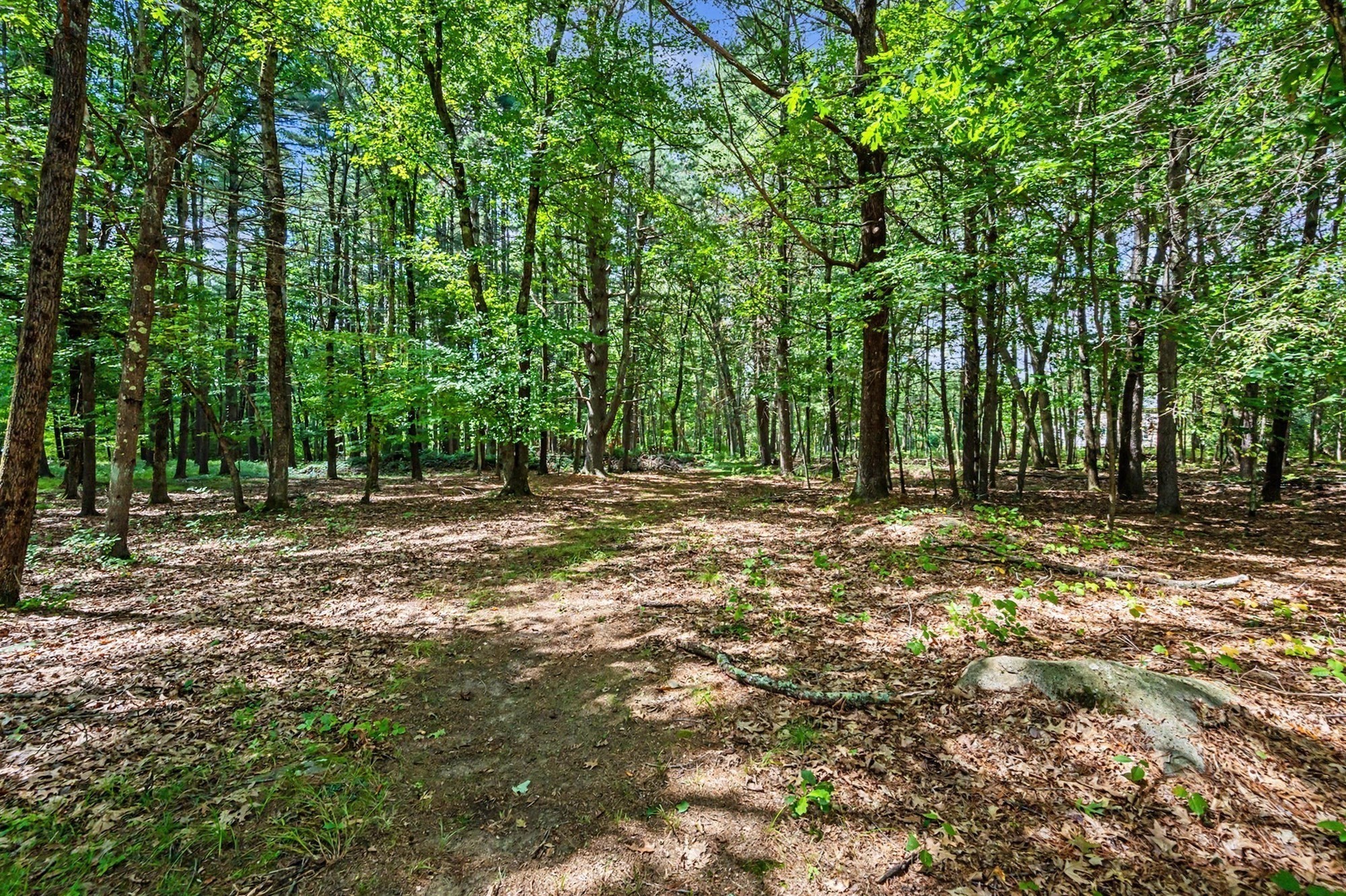 main property photo 39