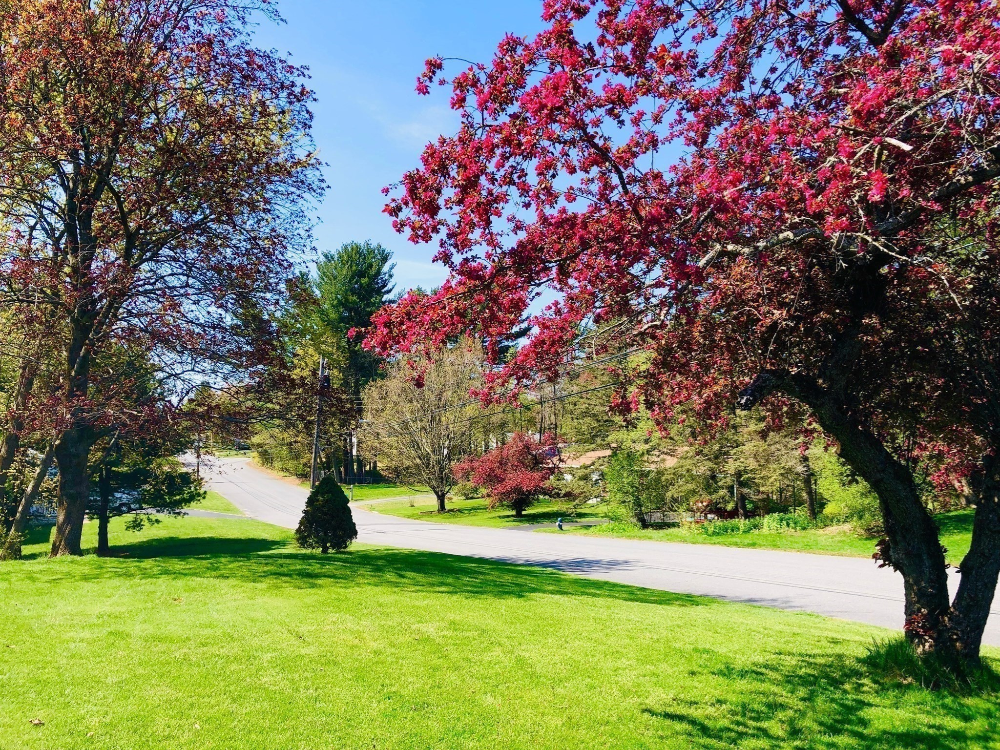 main property photo 28