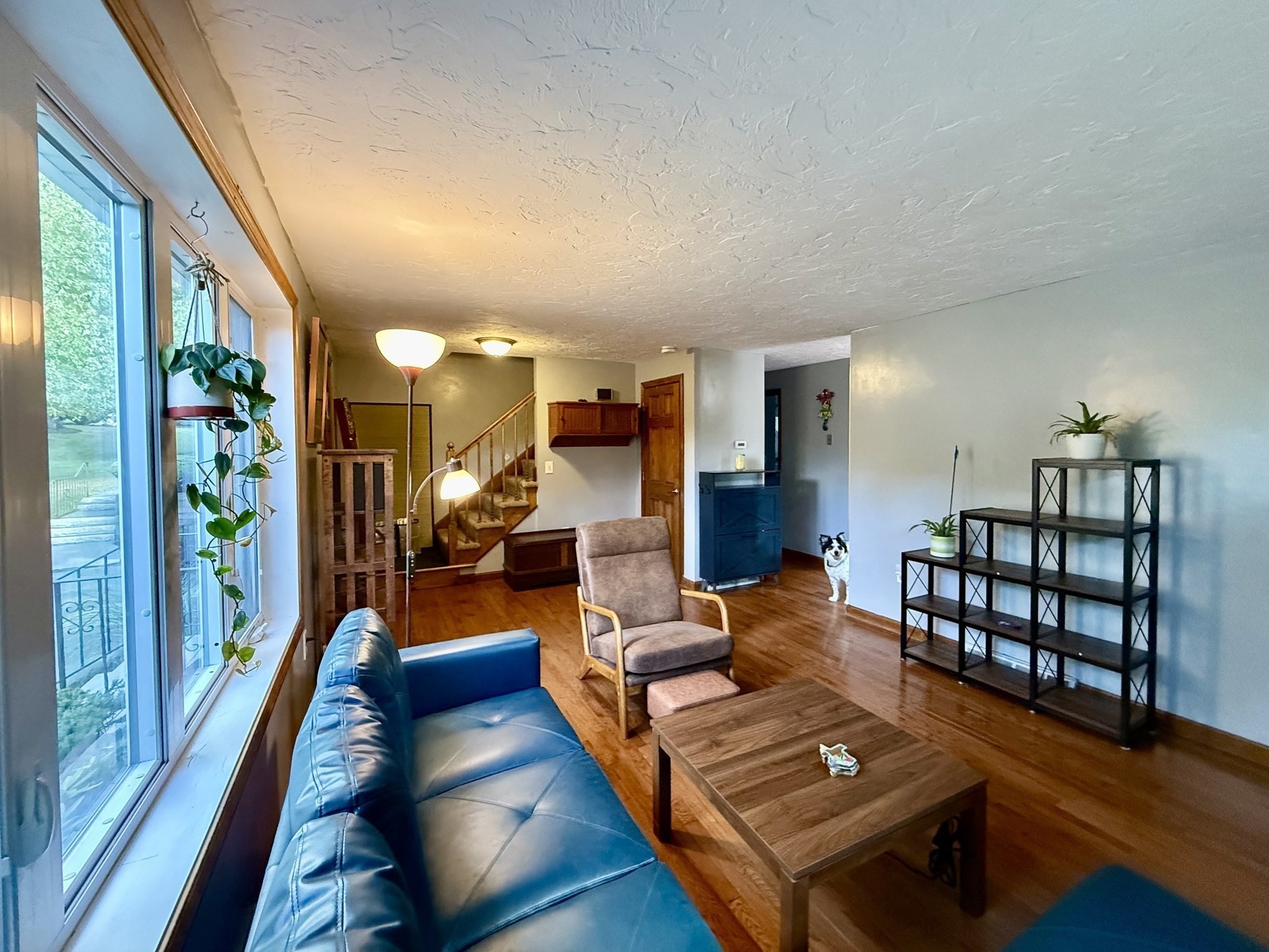 main property photo 18