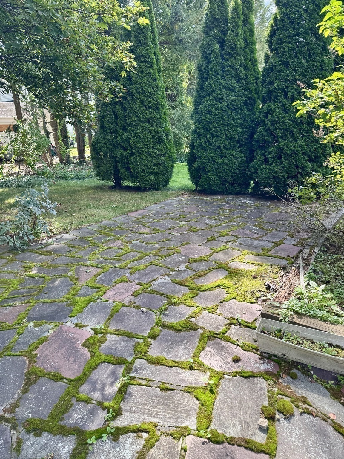 main property photo 10