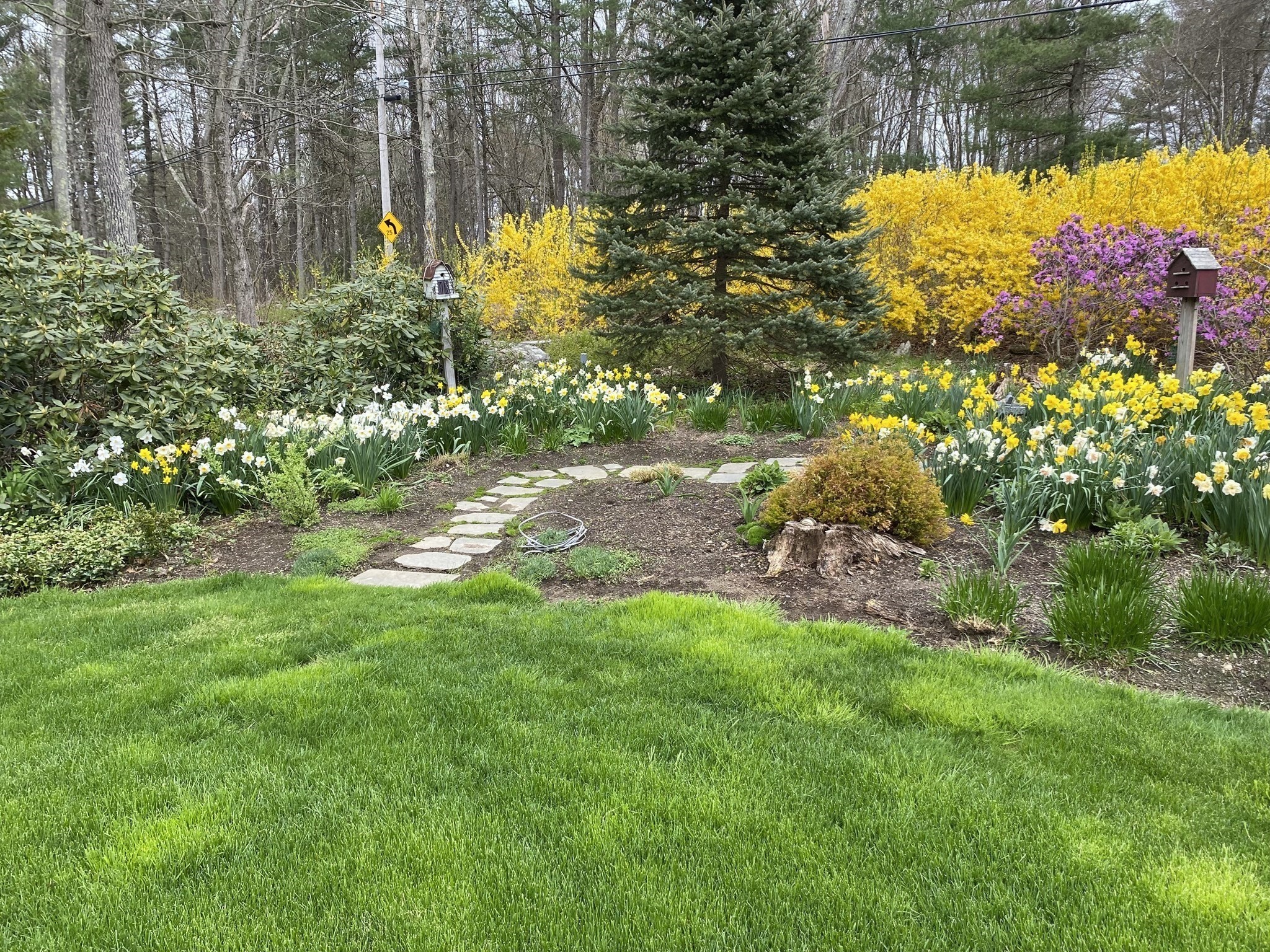 main property photo 39