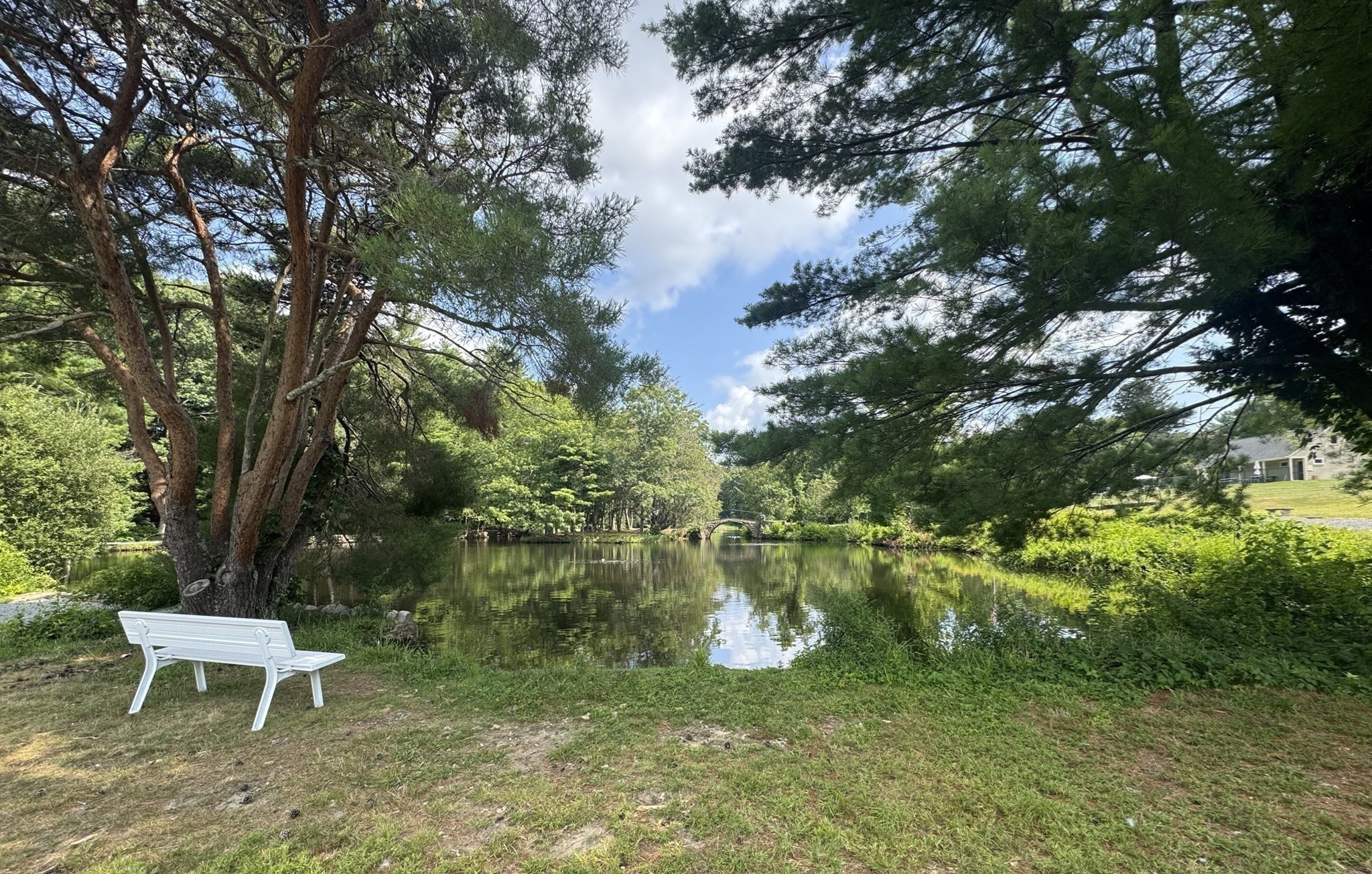 main property photo 31