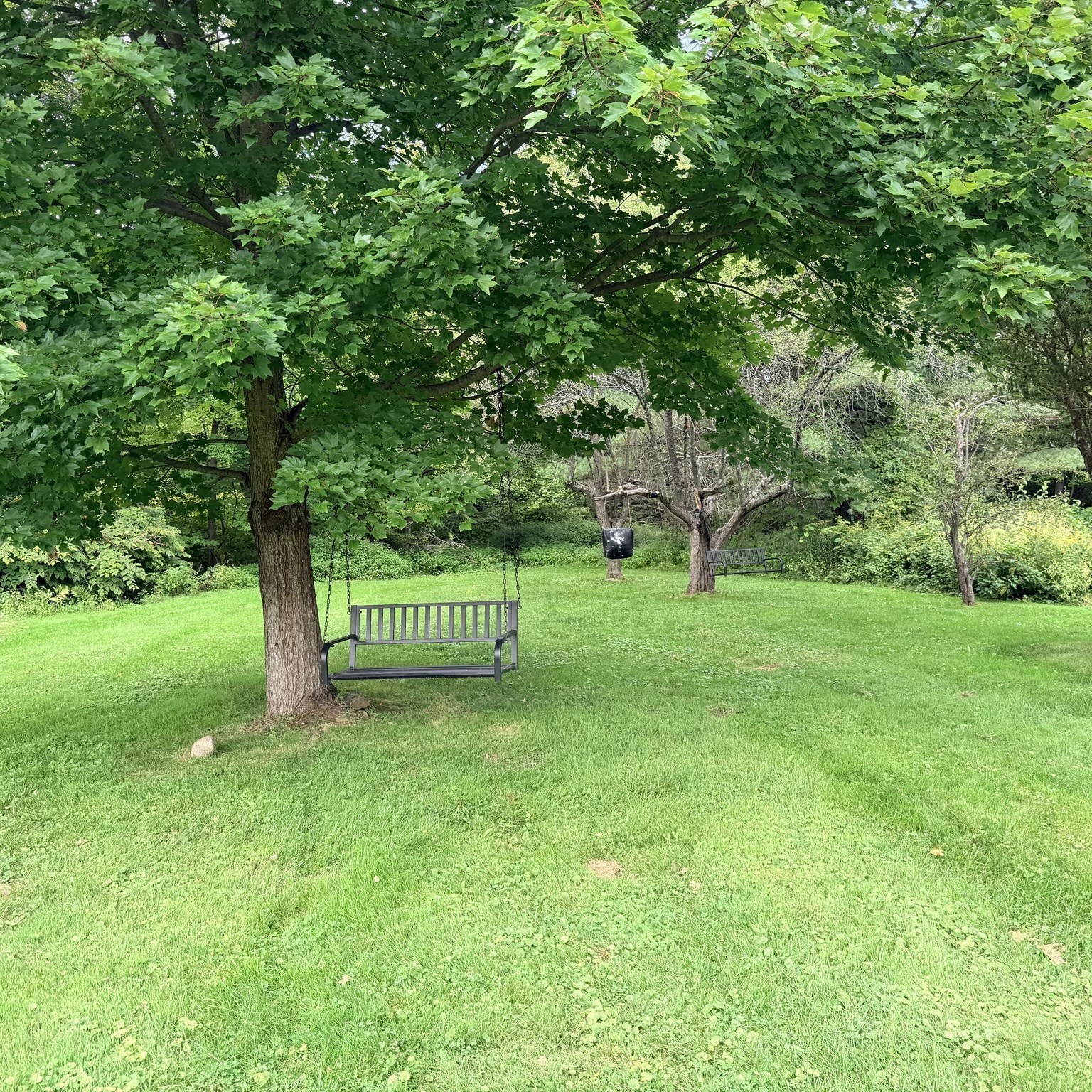 main property photo 4