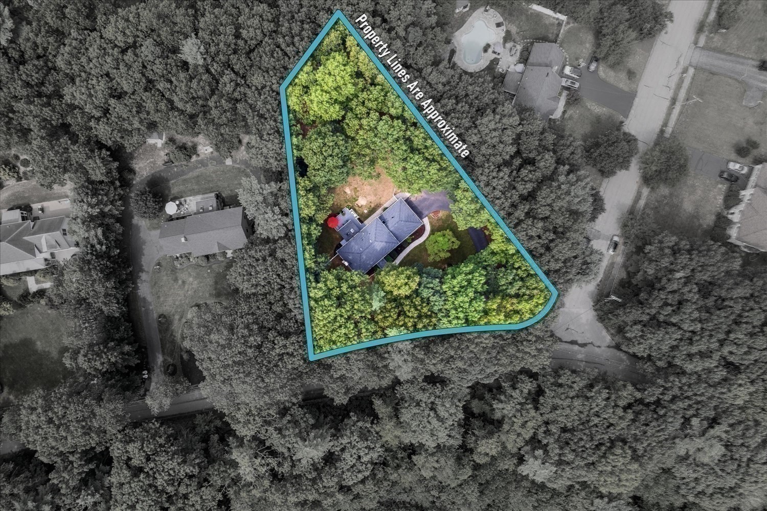 main property photo 39