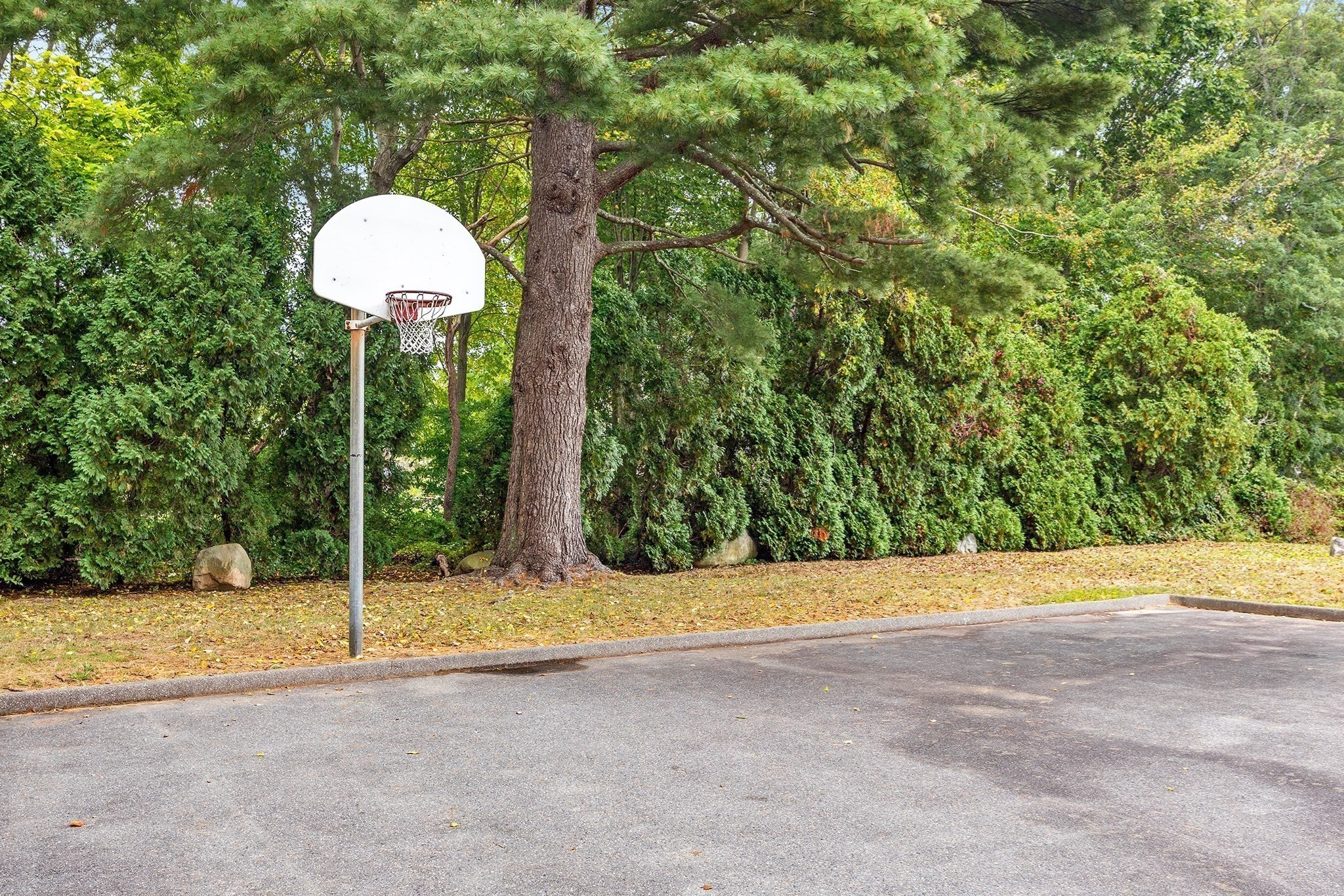 main property photo 22