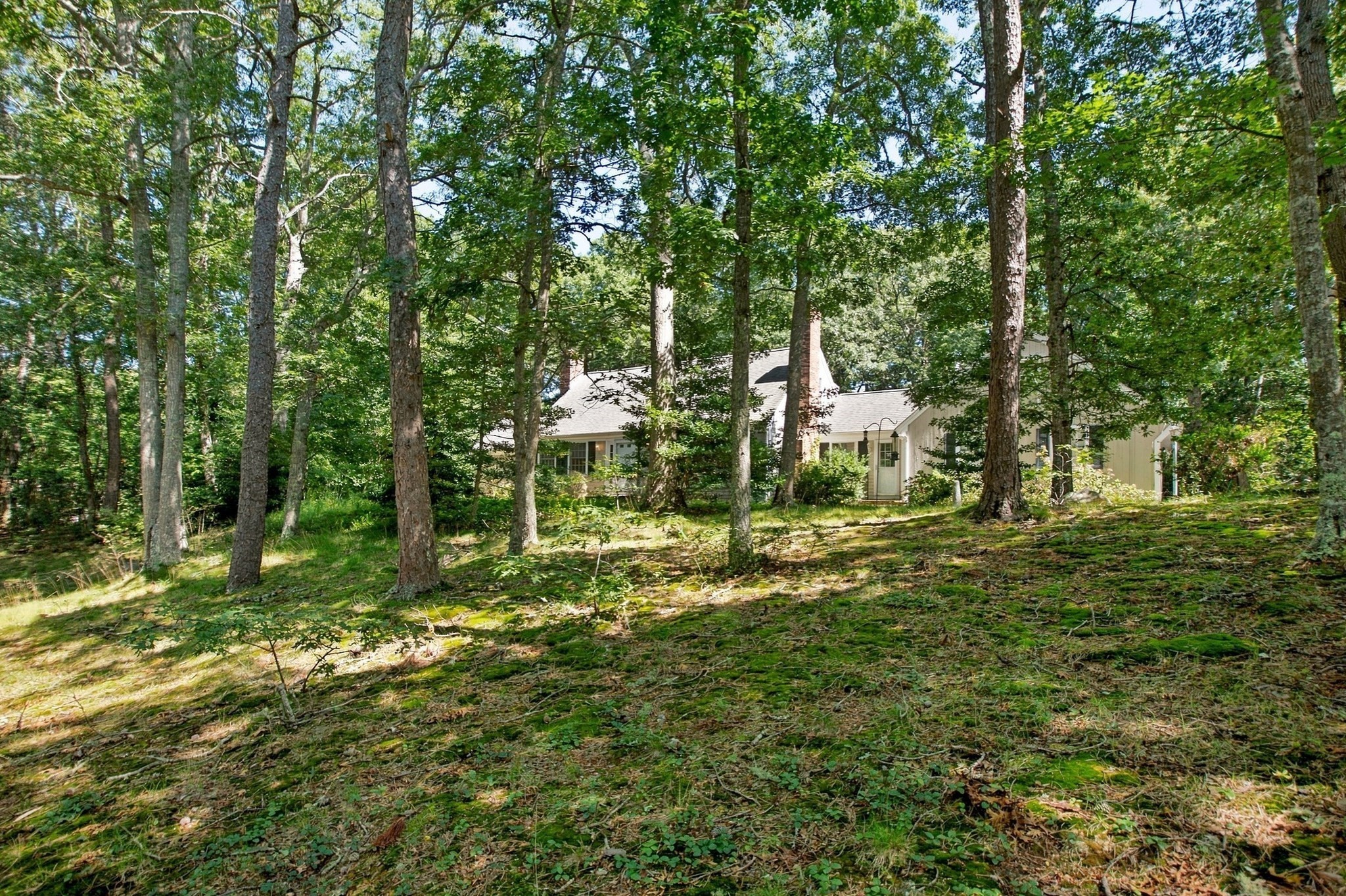 main property photo 25