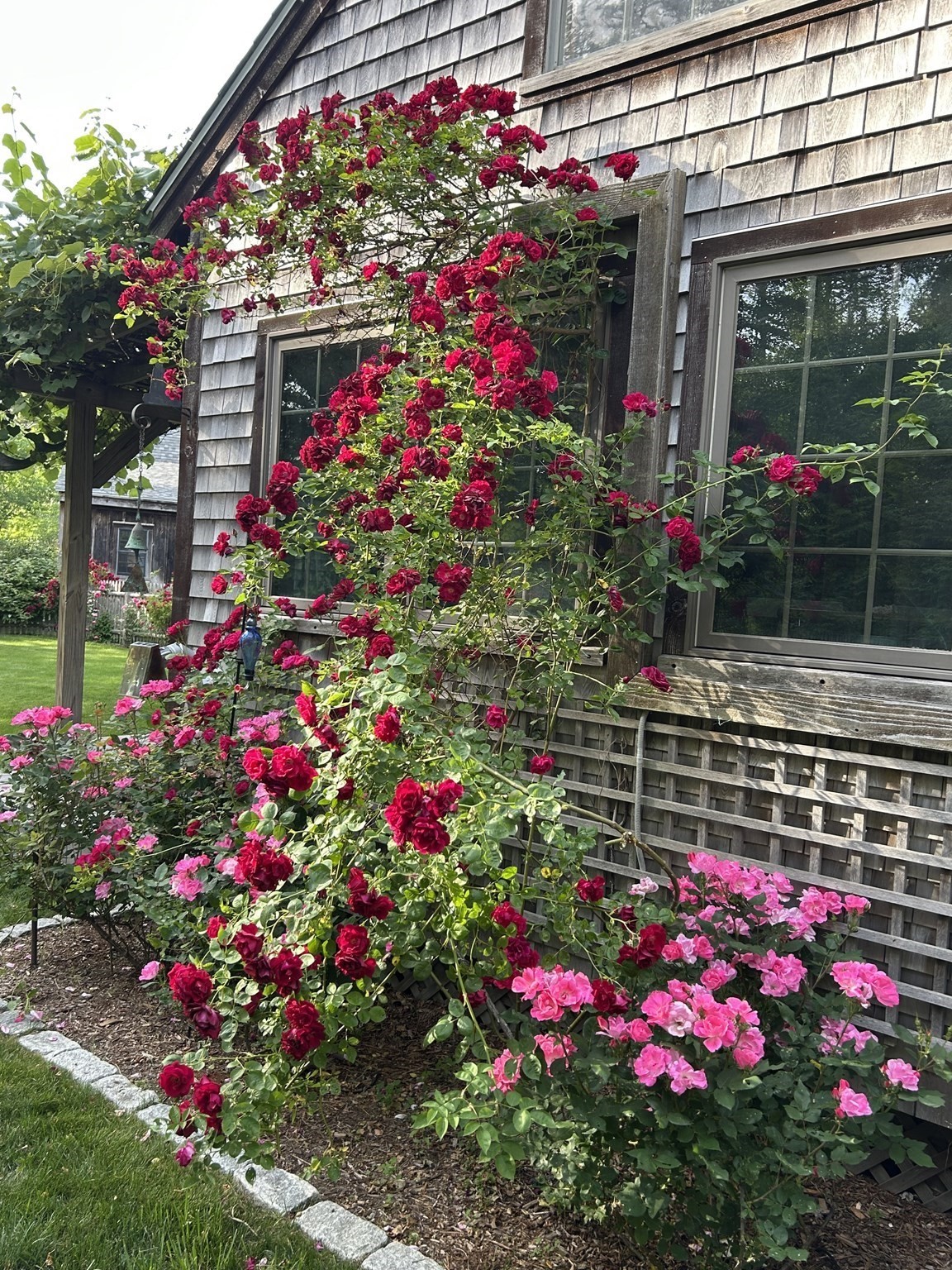 main property photo 39