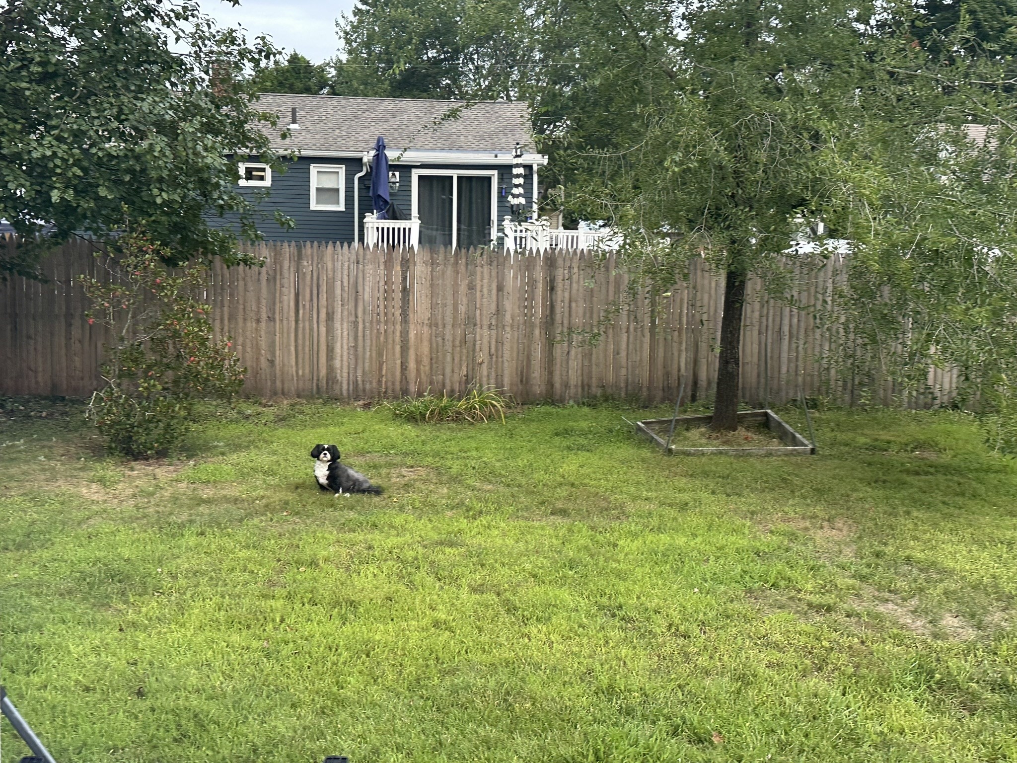 main property photo 31