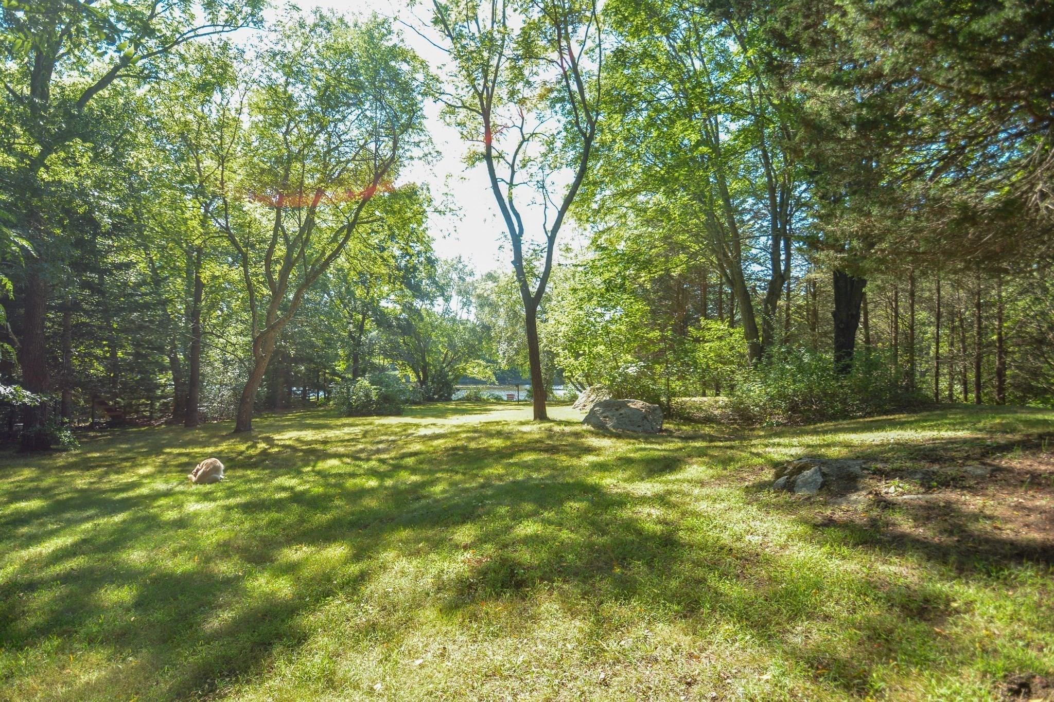 main property photo 9