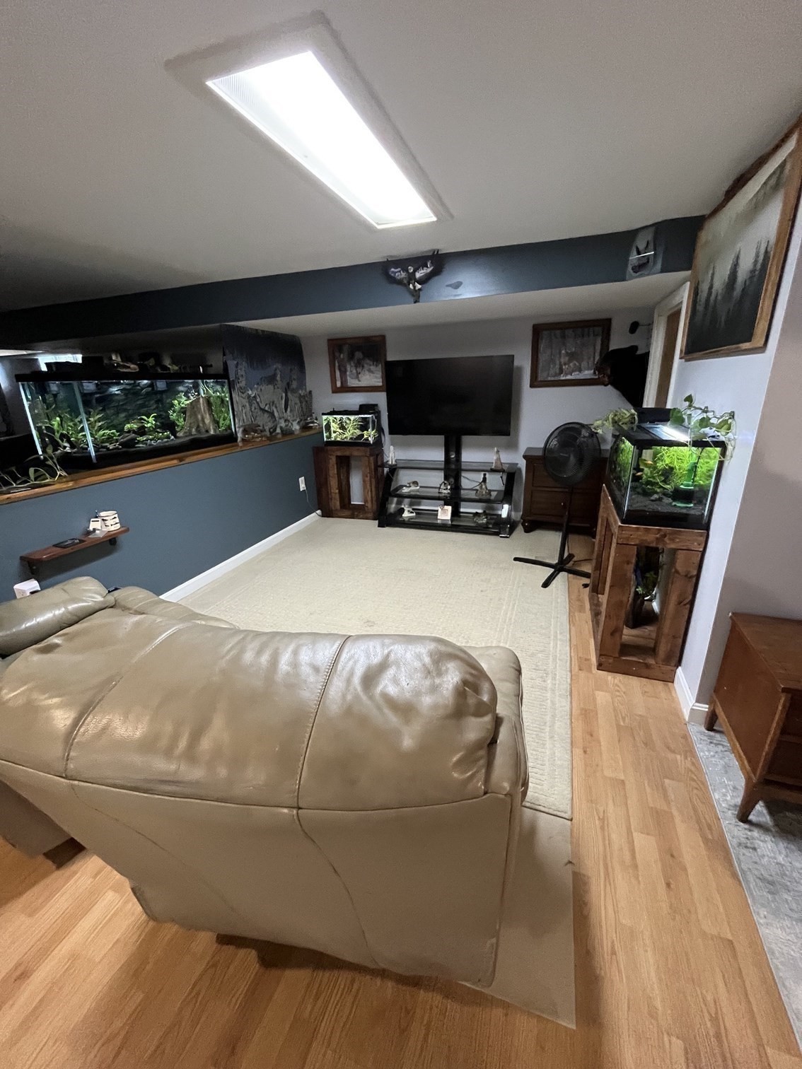 main property photo 15