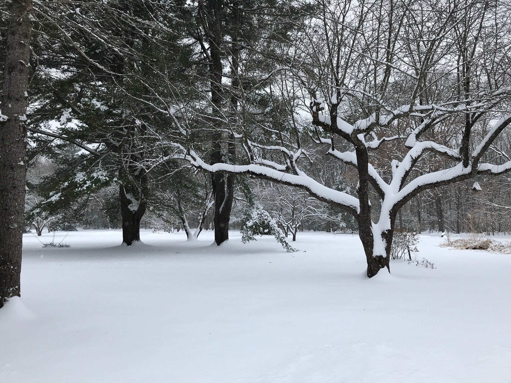 main property photo 37