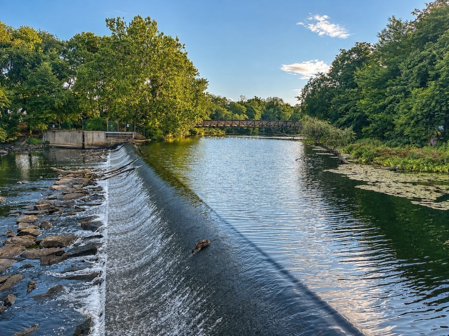 main property photo 20