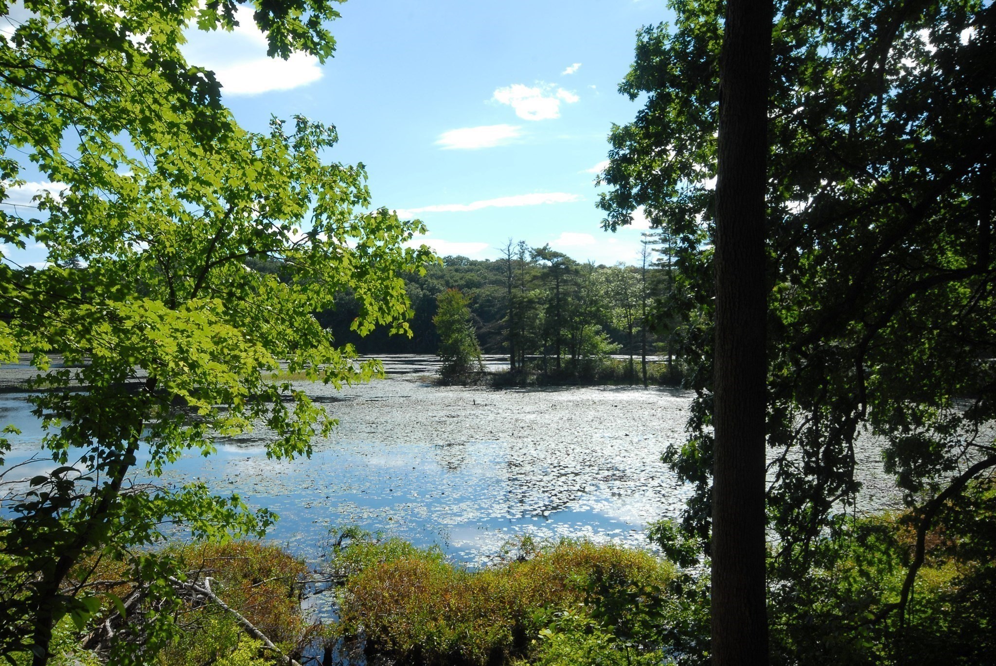 main property photo 34