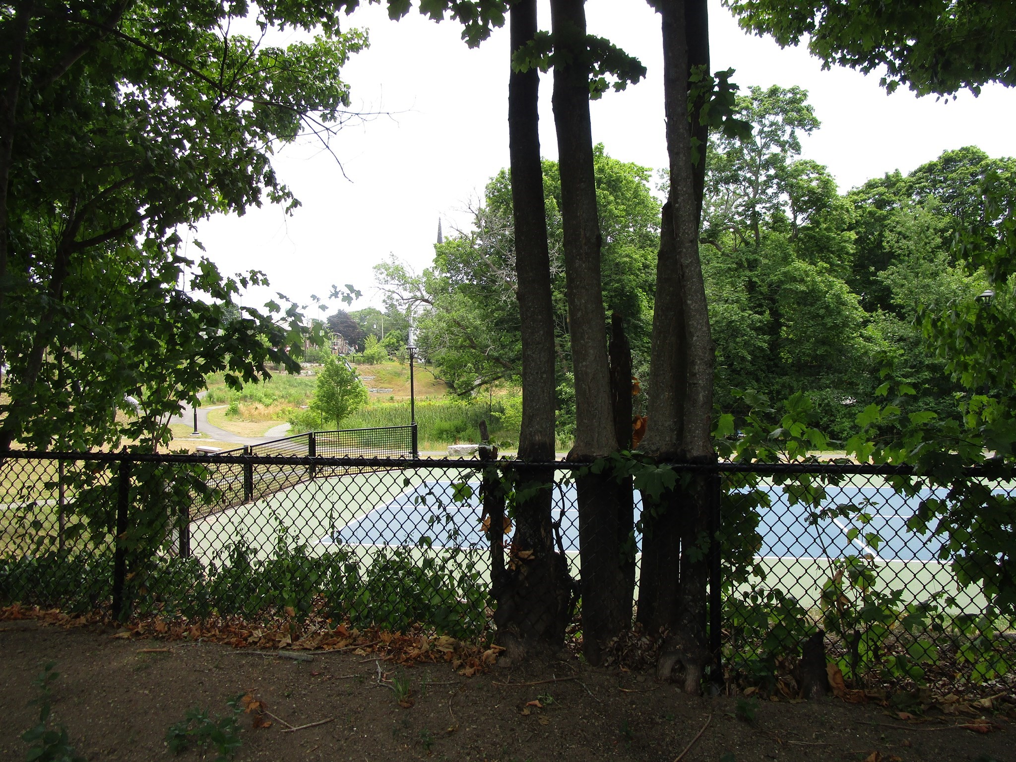 main property photo 4
