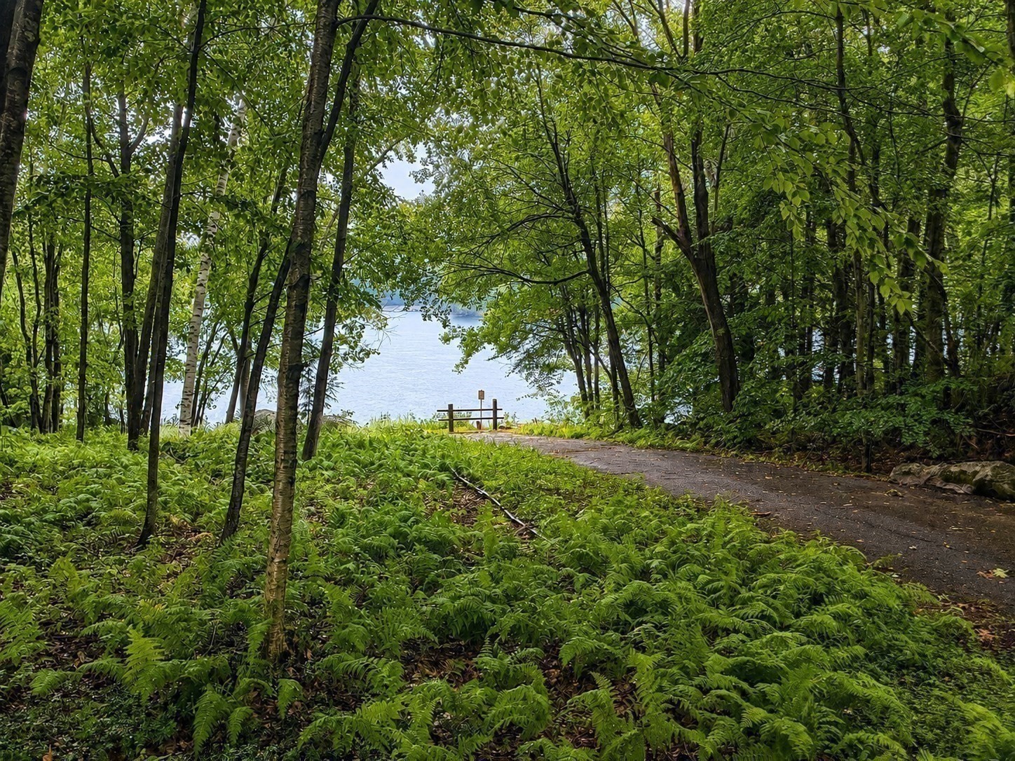 main property photo 20