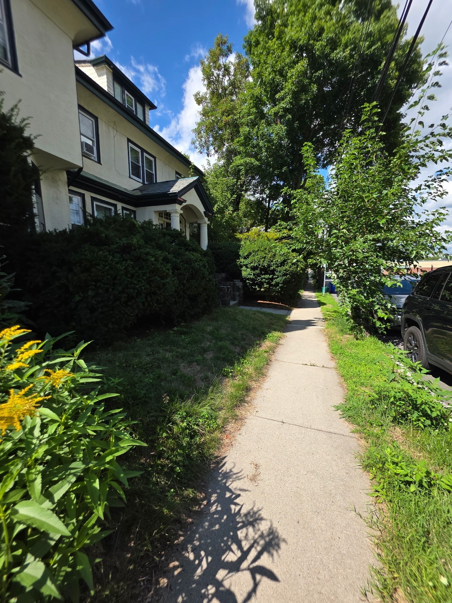 main property photo 23