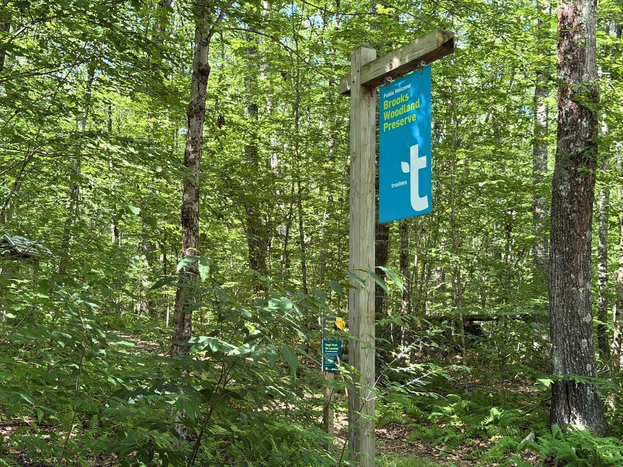 main property photo 15