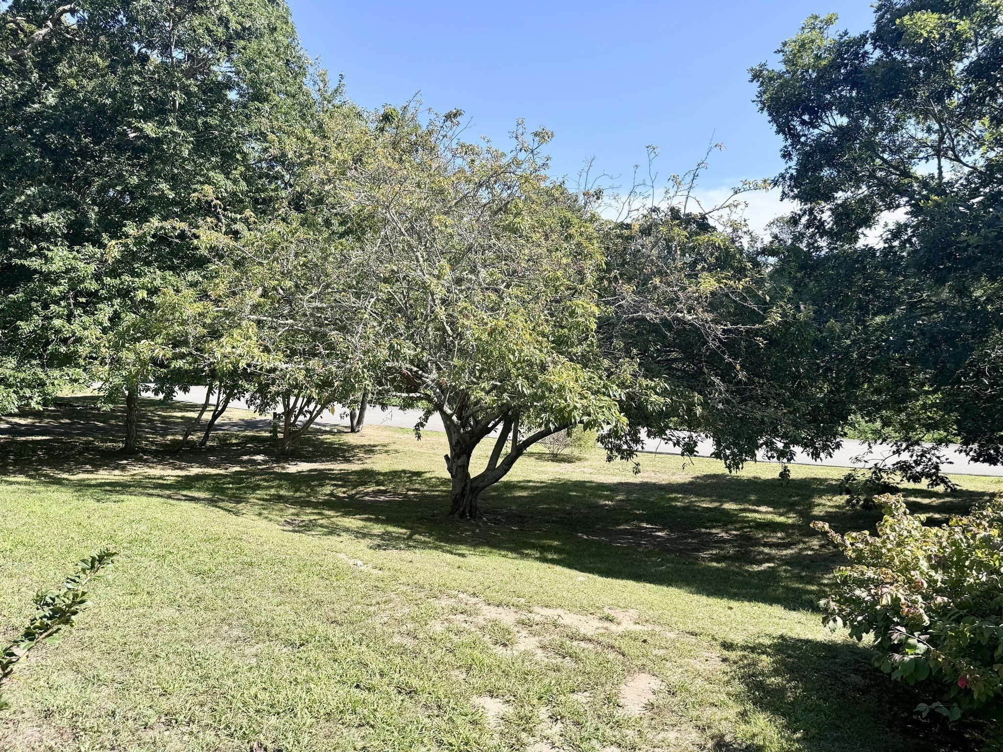 main property photo 35