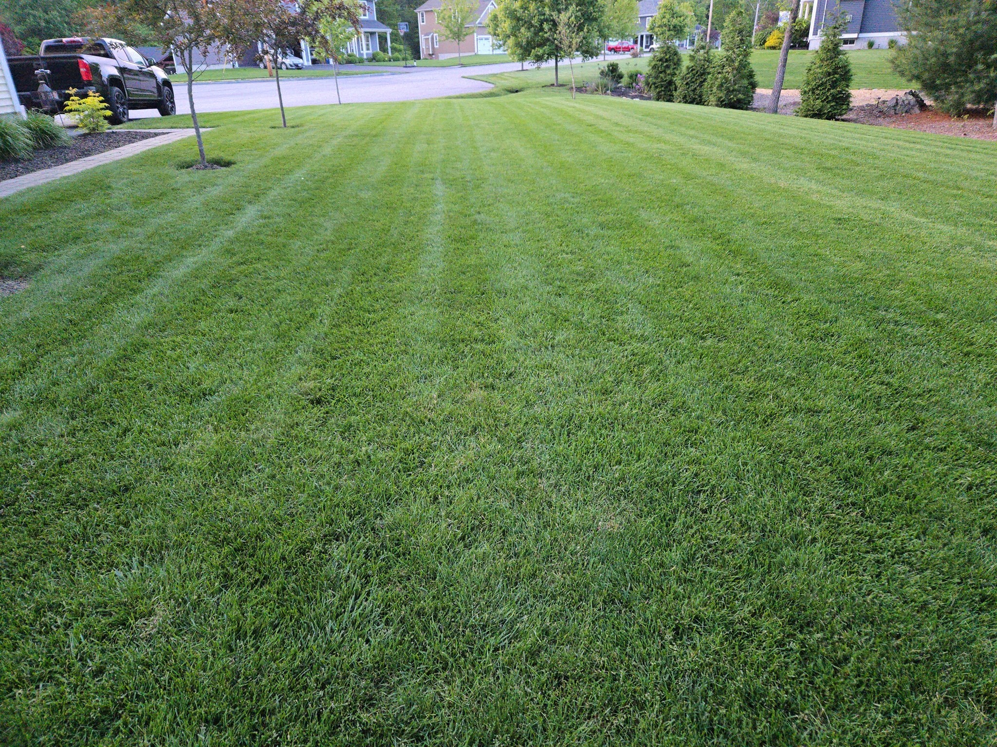 main property photo 24