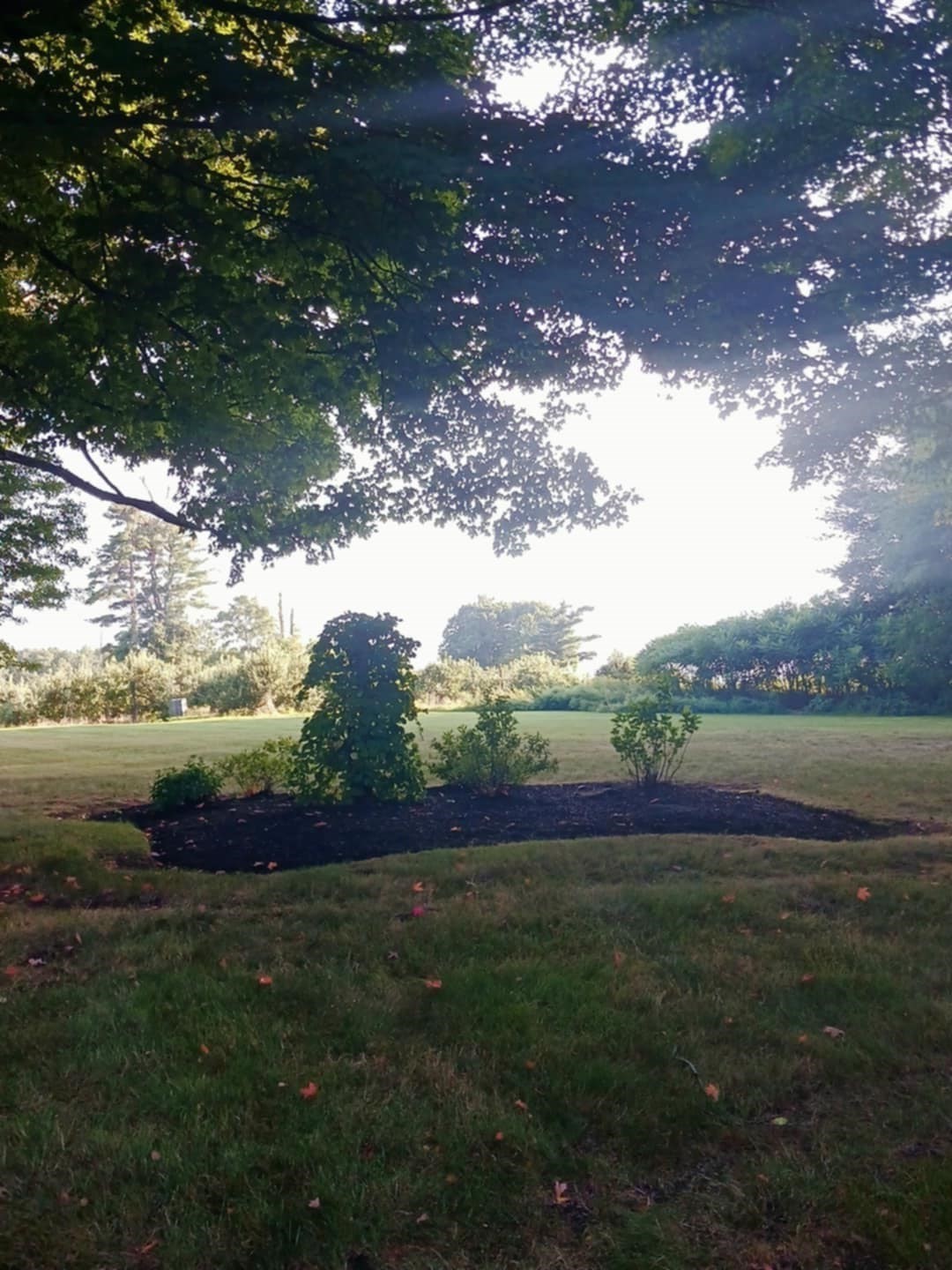 main property photo 7