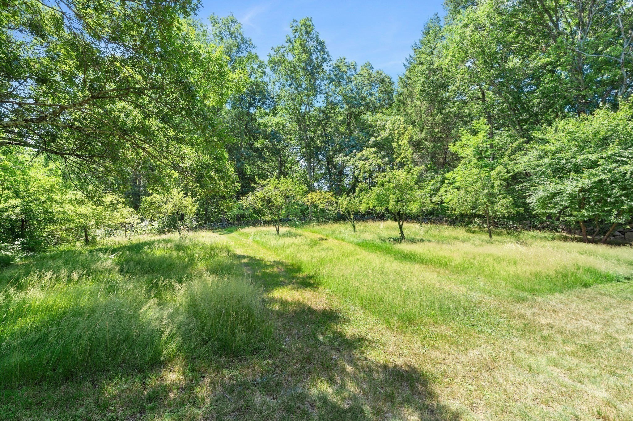 main property photo 40