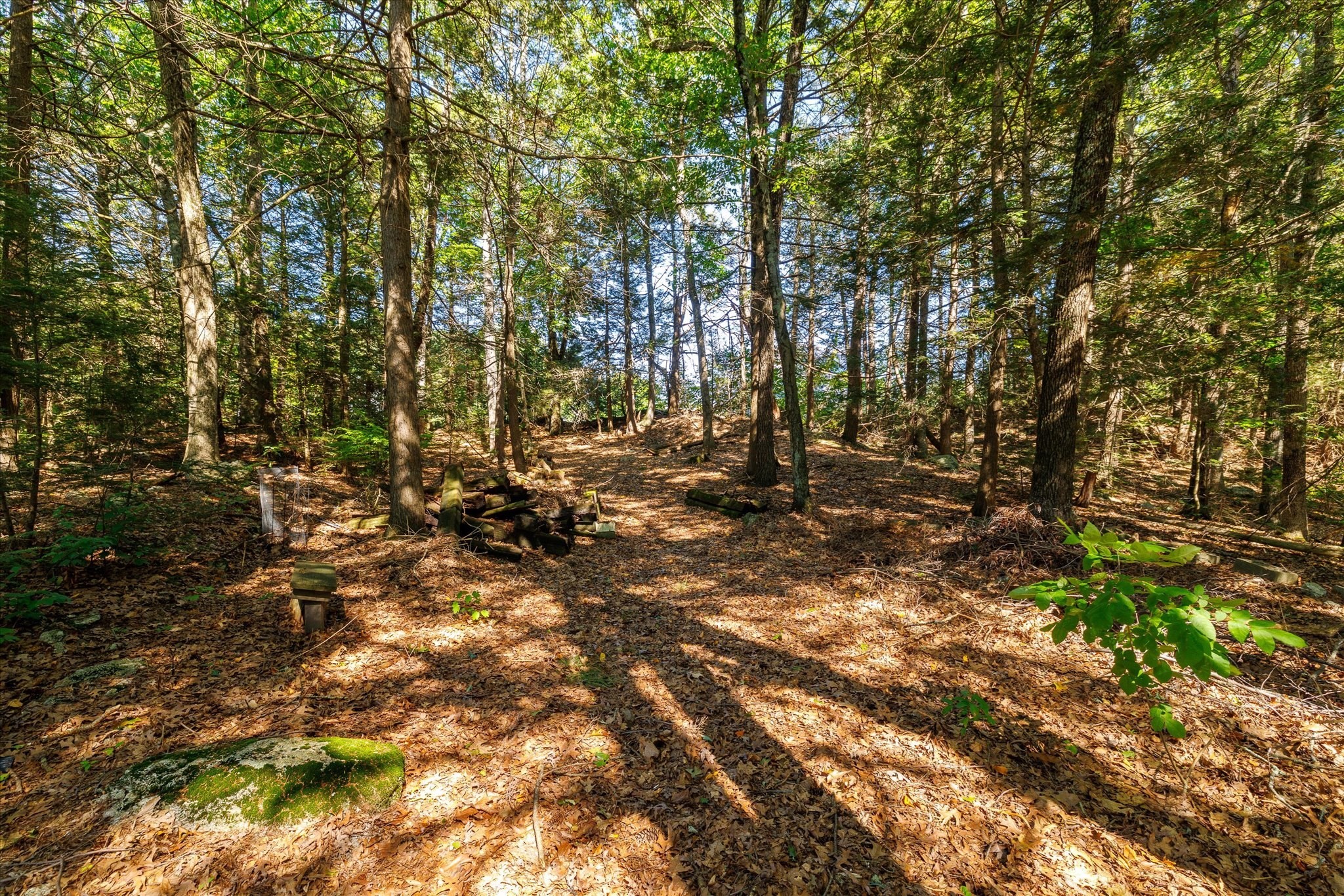 main property photo 27