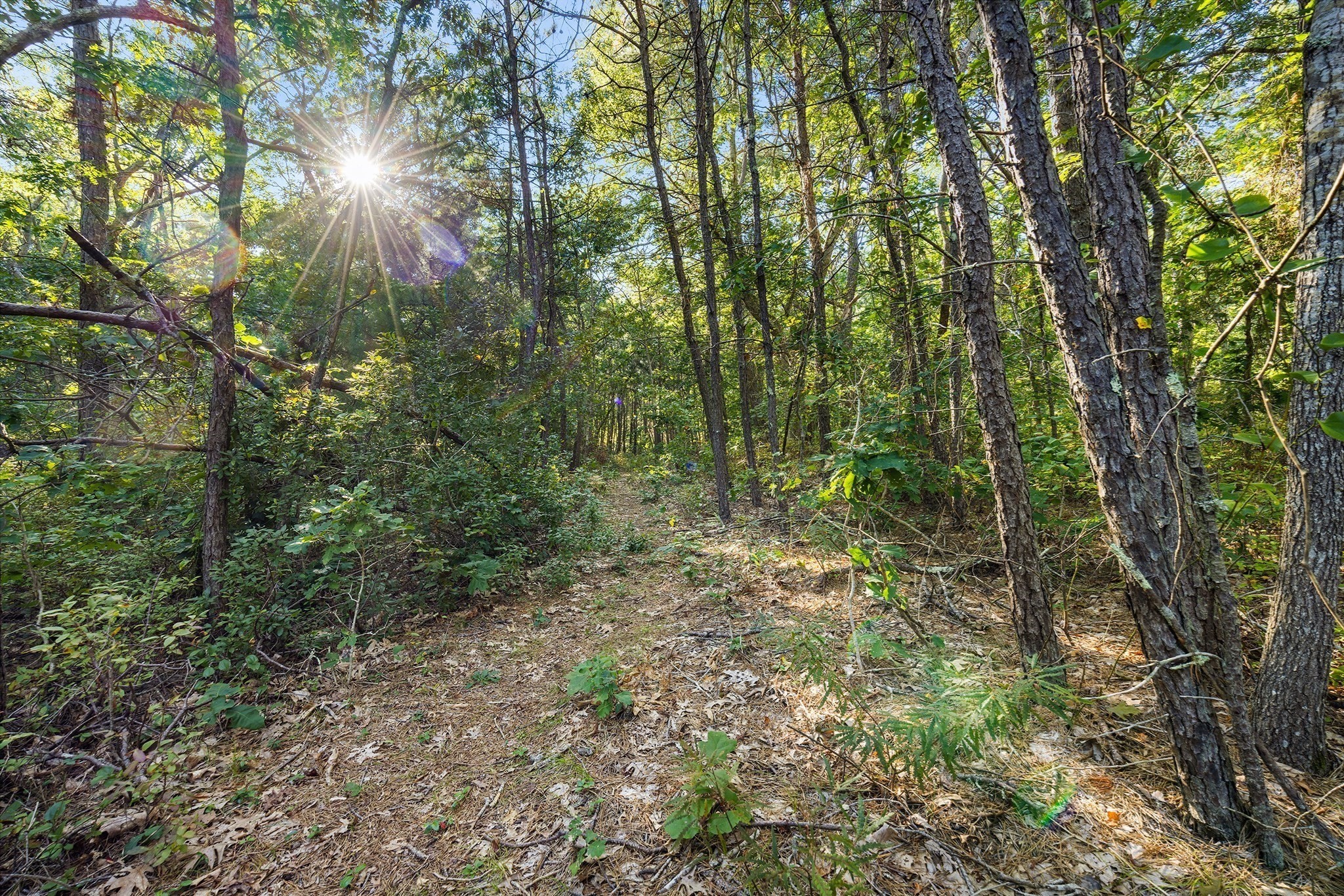main property photo 36