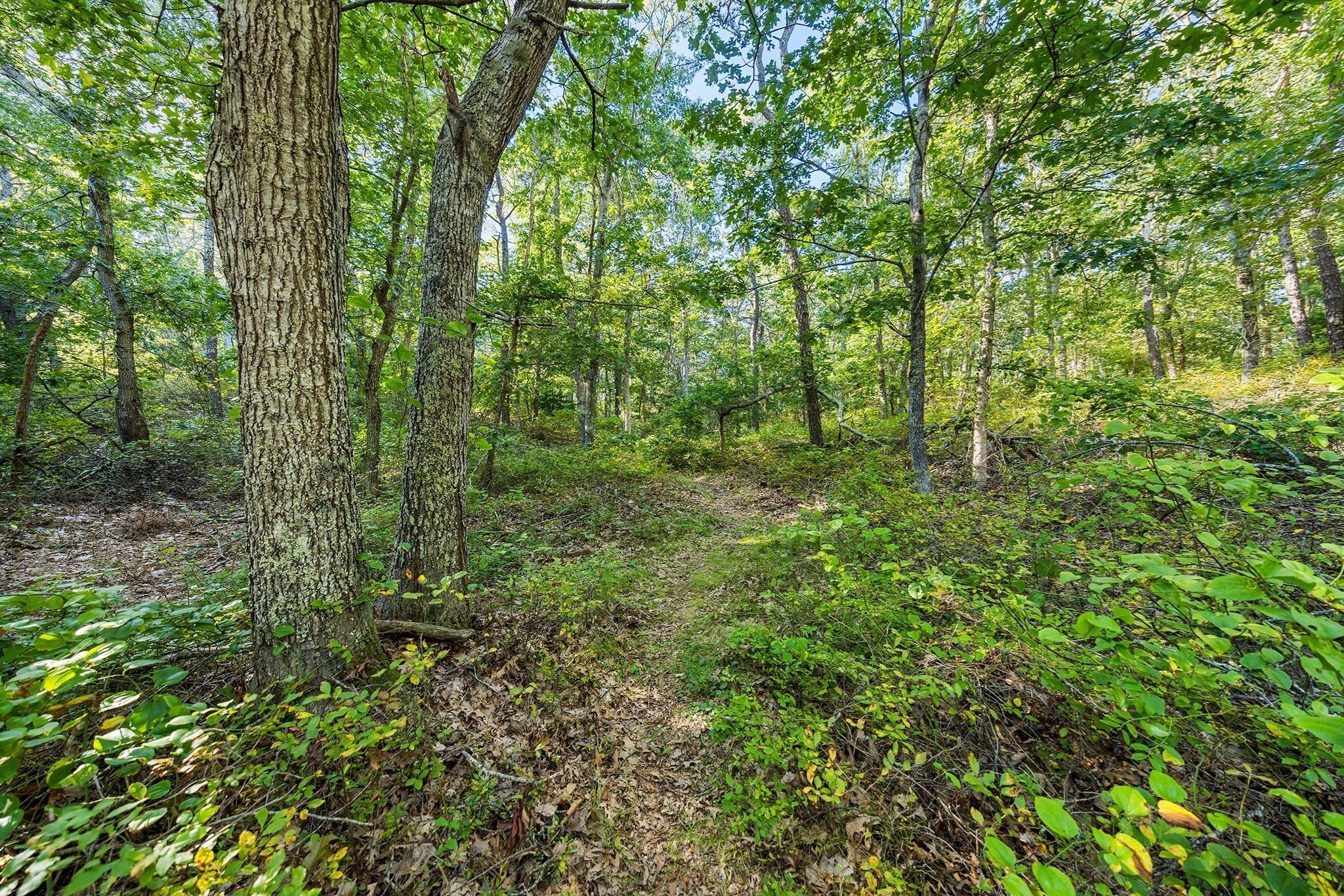 main property photo 38