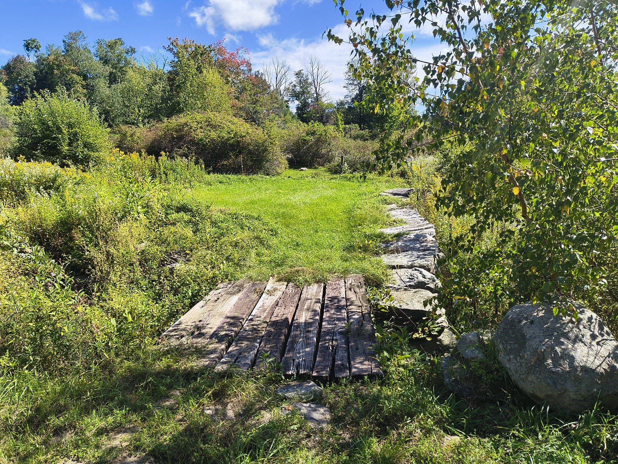 main property photo 40