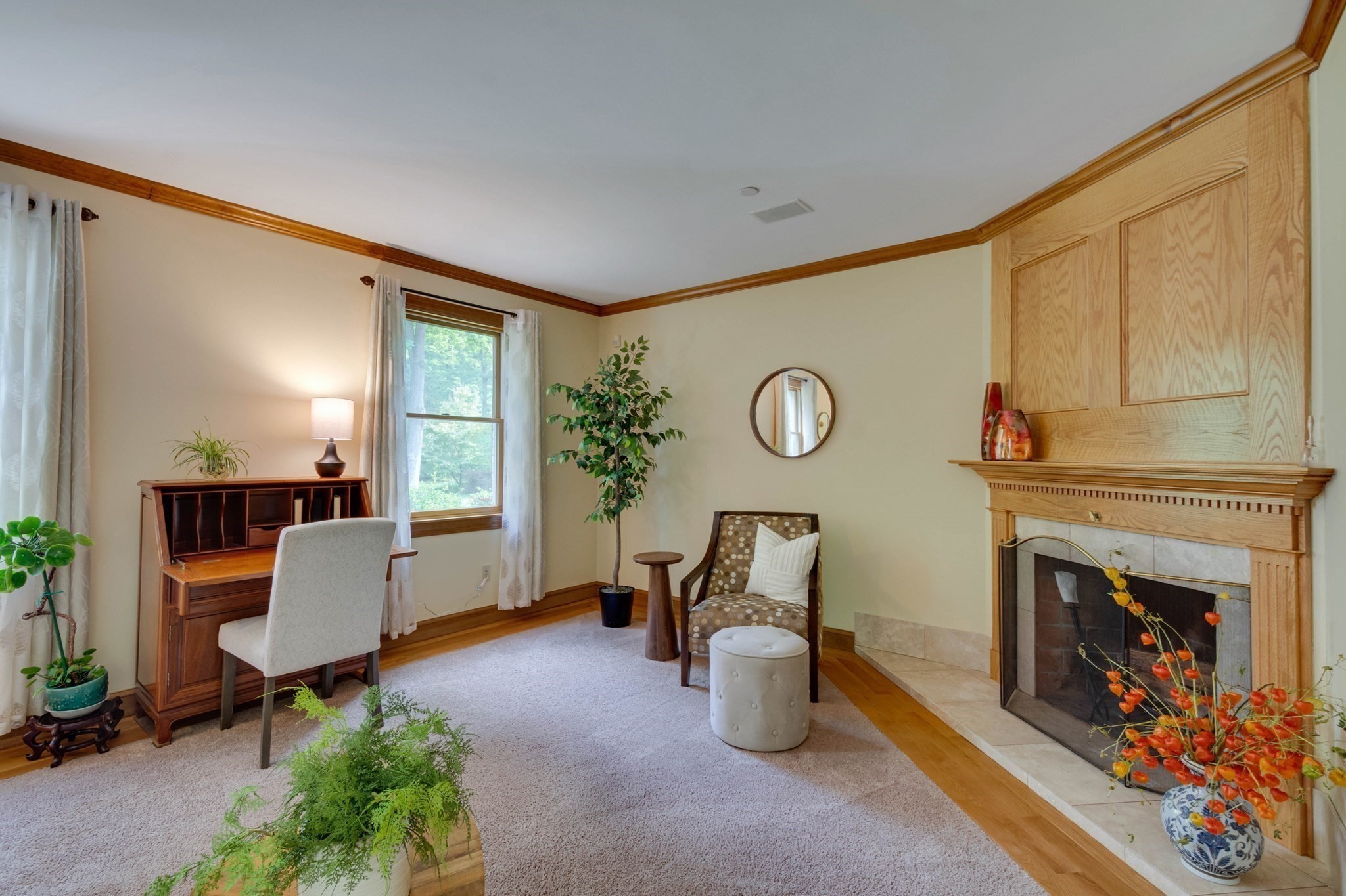 main property photo 22
