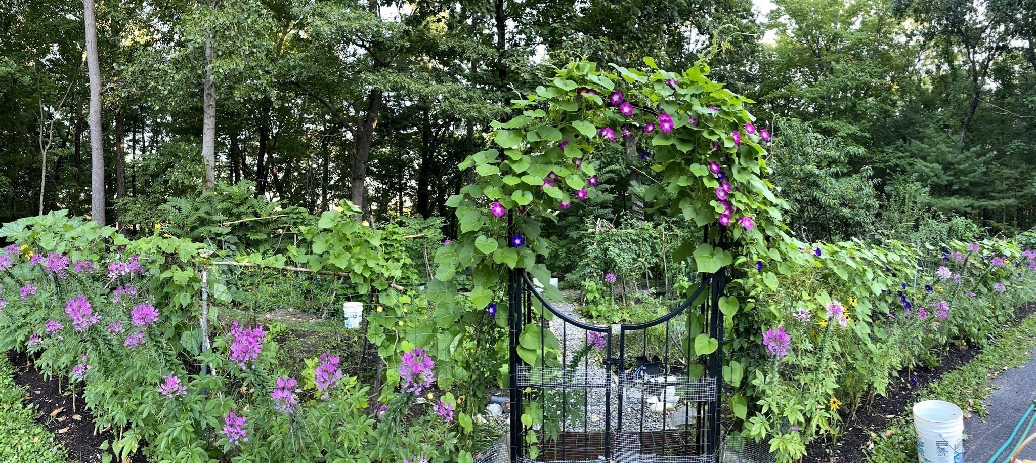 main property photo 41