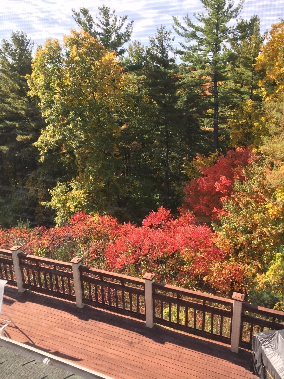 main property photo 34
