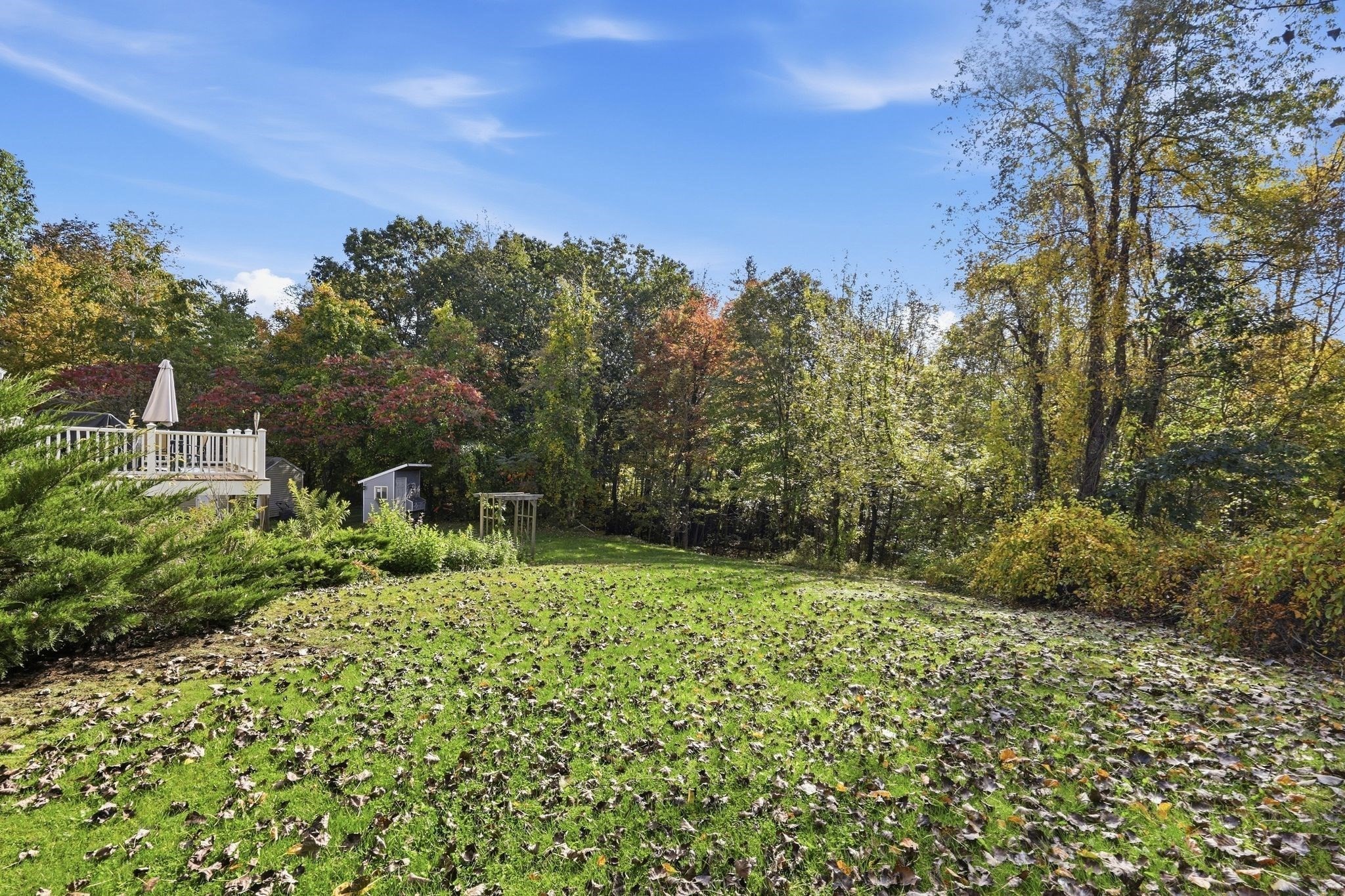 main property photo 38