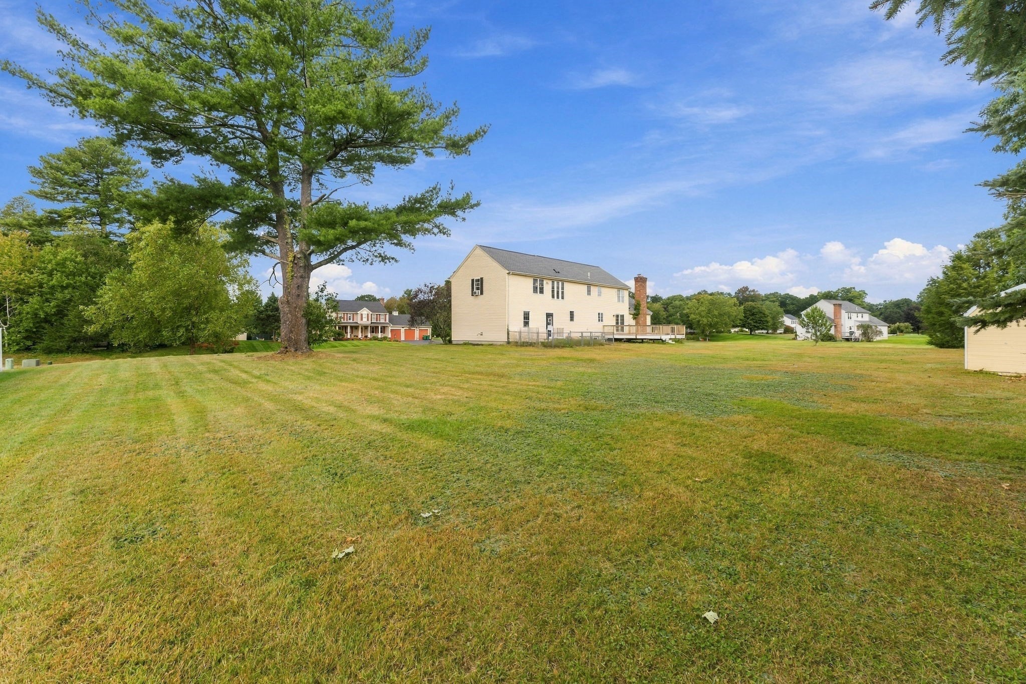 main property photo 39