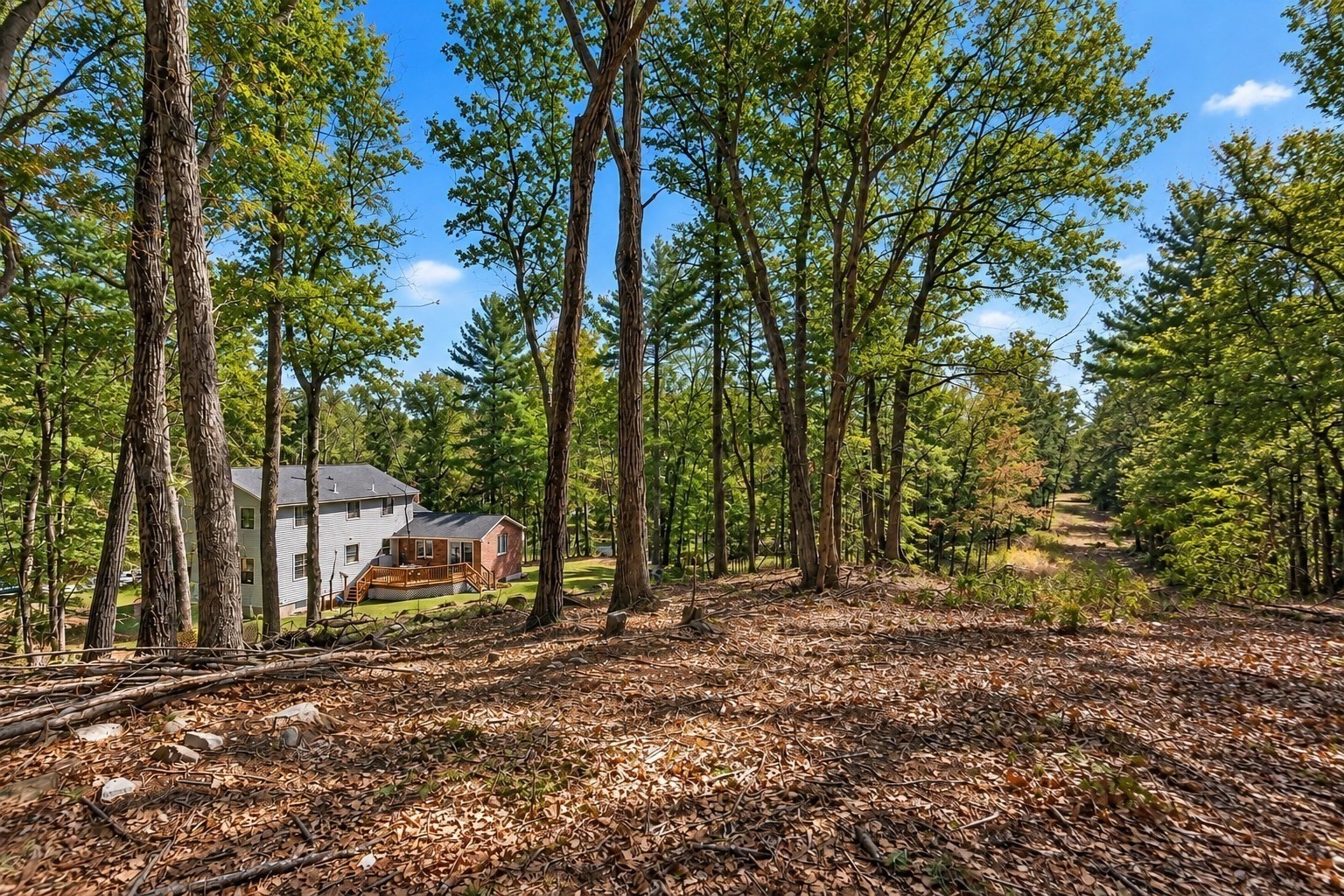 main property photo 30