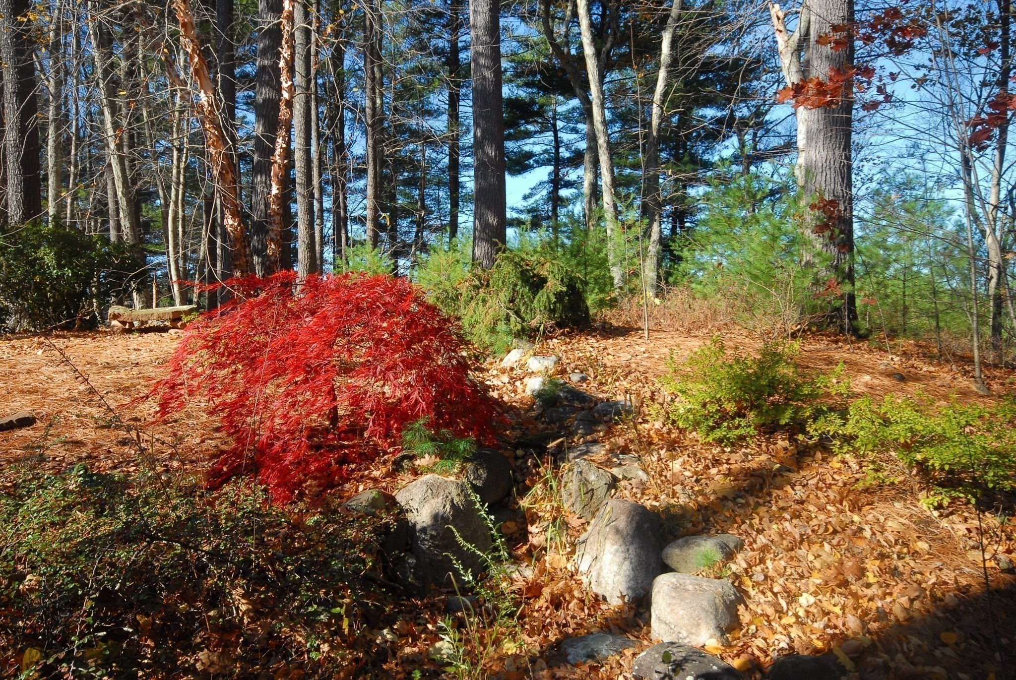 main property photo 30