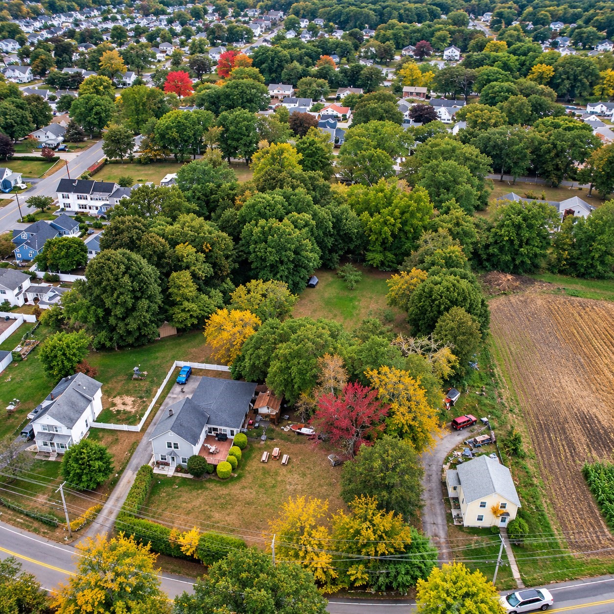 main property photo 41