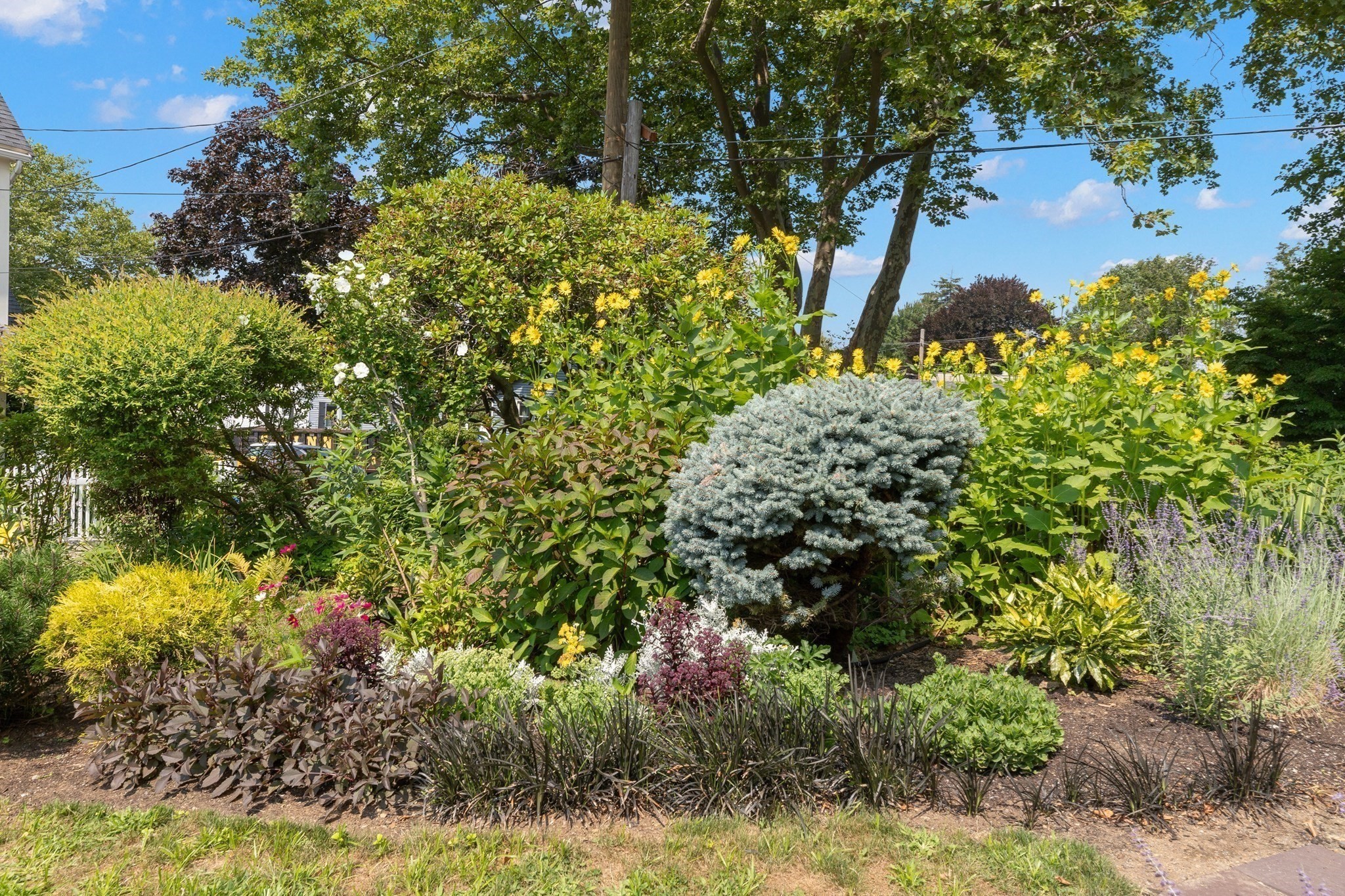 main property photo 41