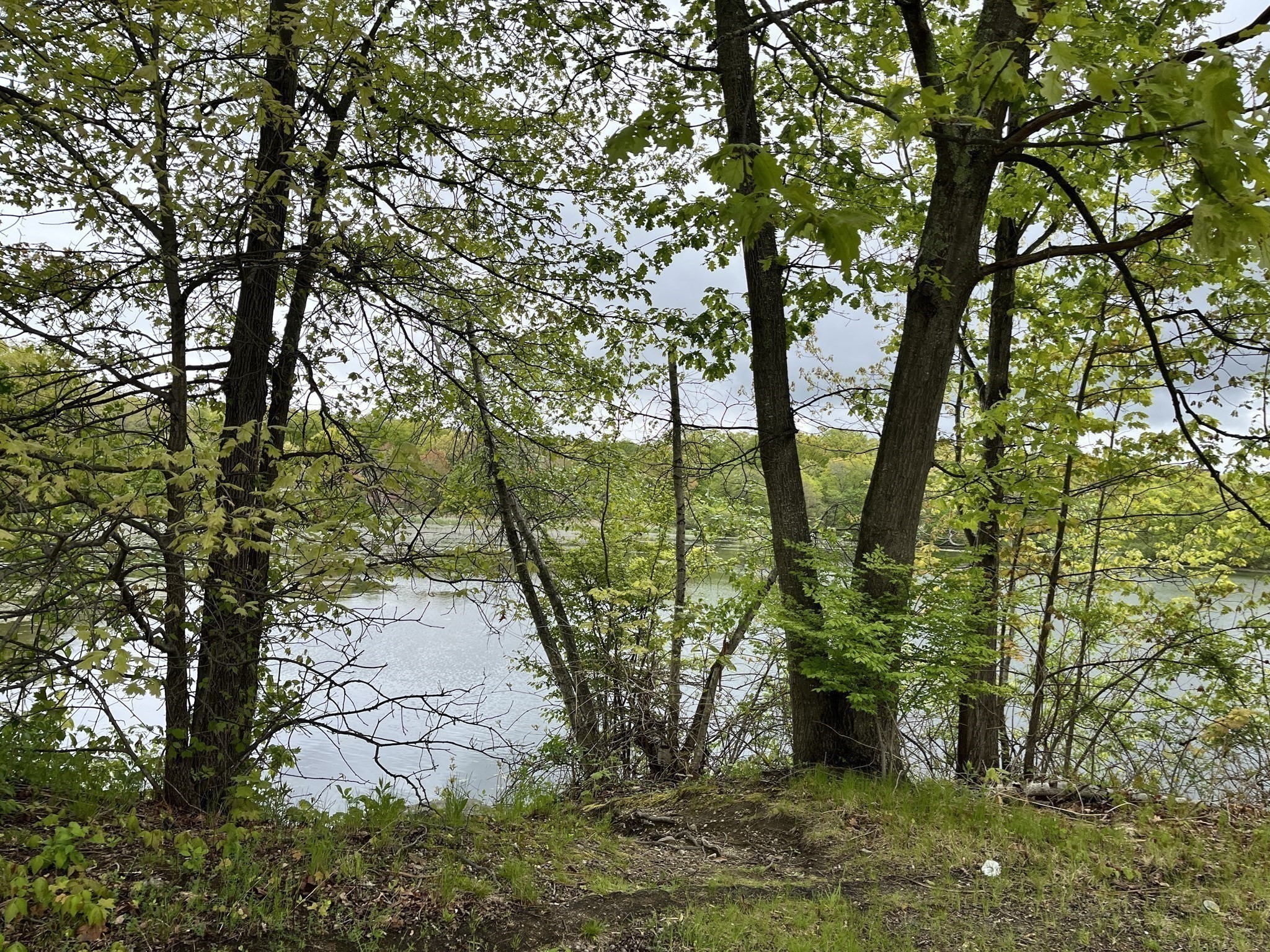 main property photo 16