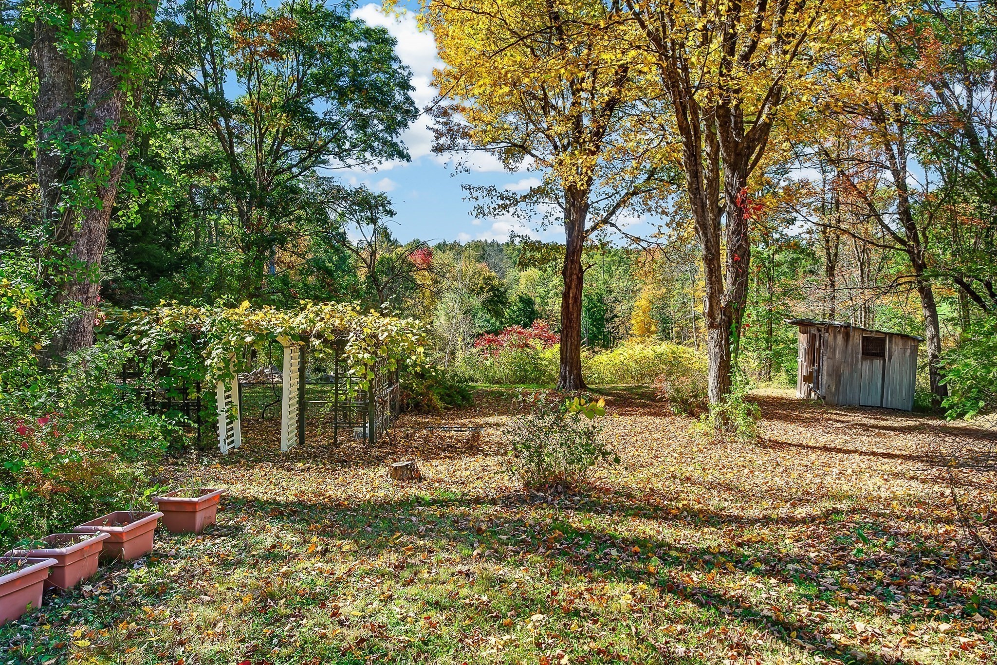 main property photo 27