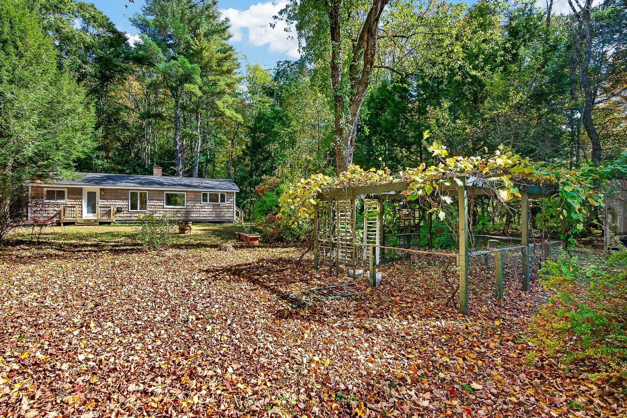 main property photo 28